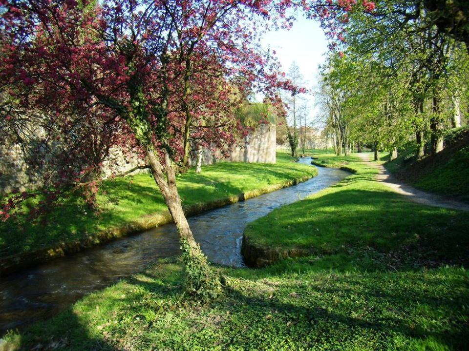 Photo 45