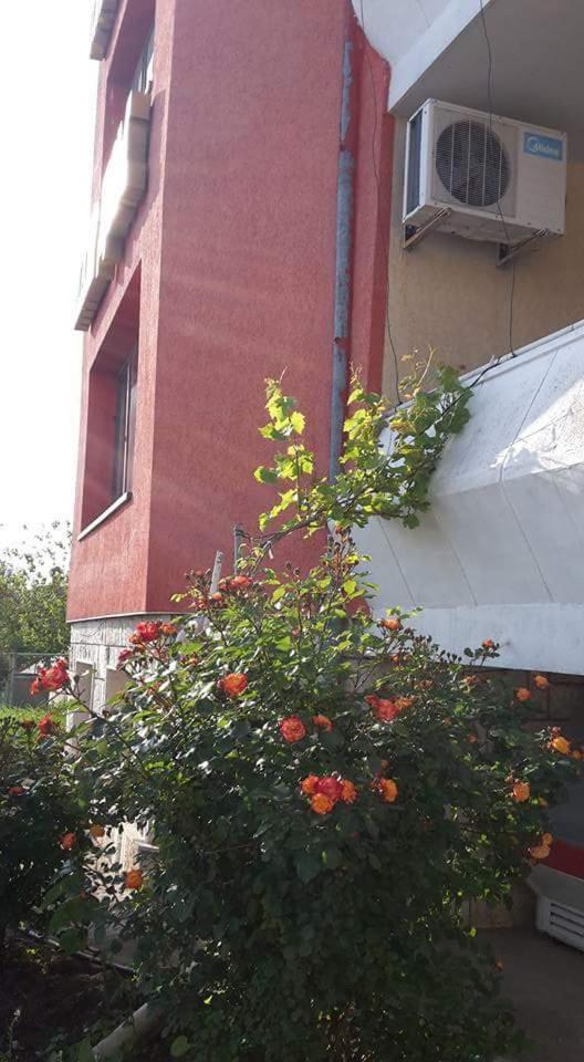 Guest House Nash Dom