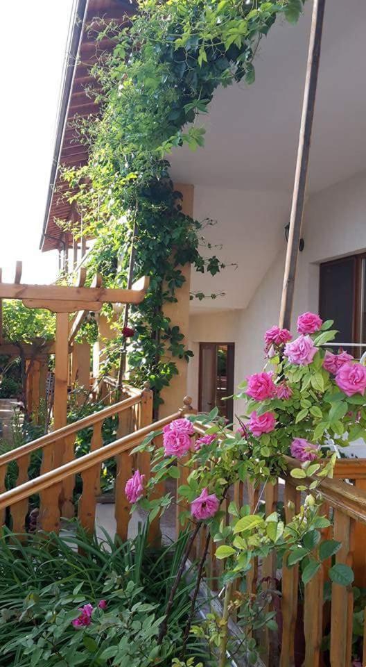 Guest House Nash Dom