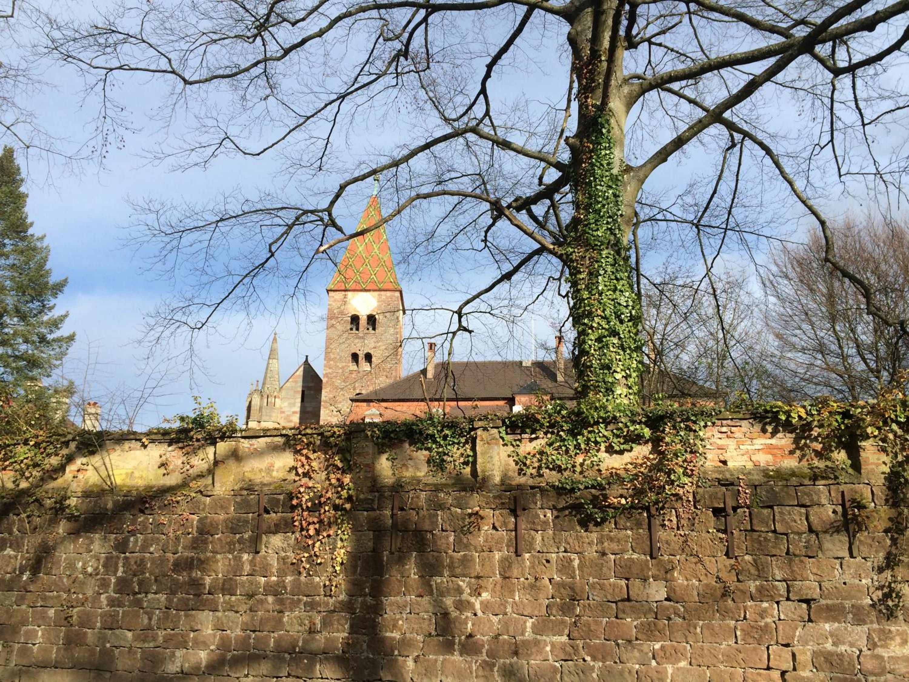 Photo 25