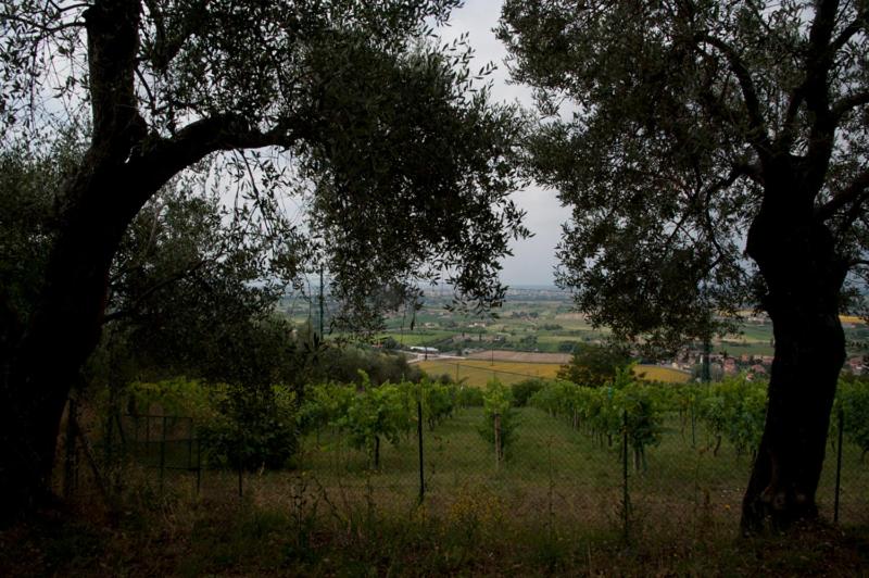 Agriturismo La Grotta