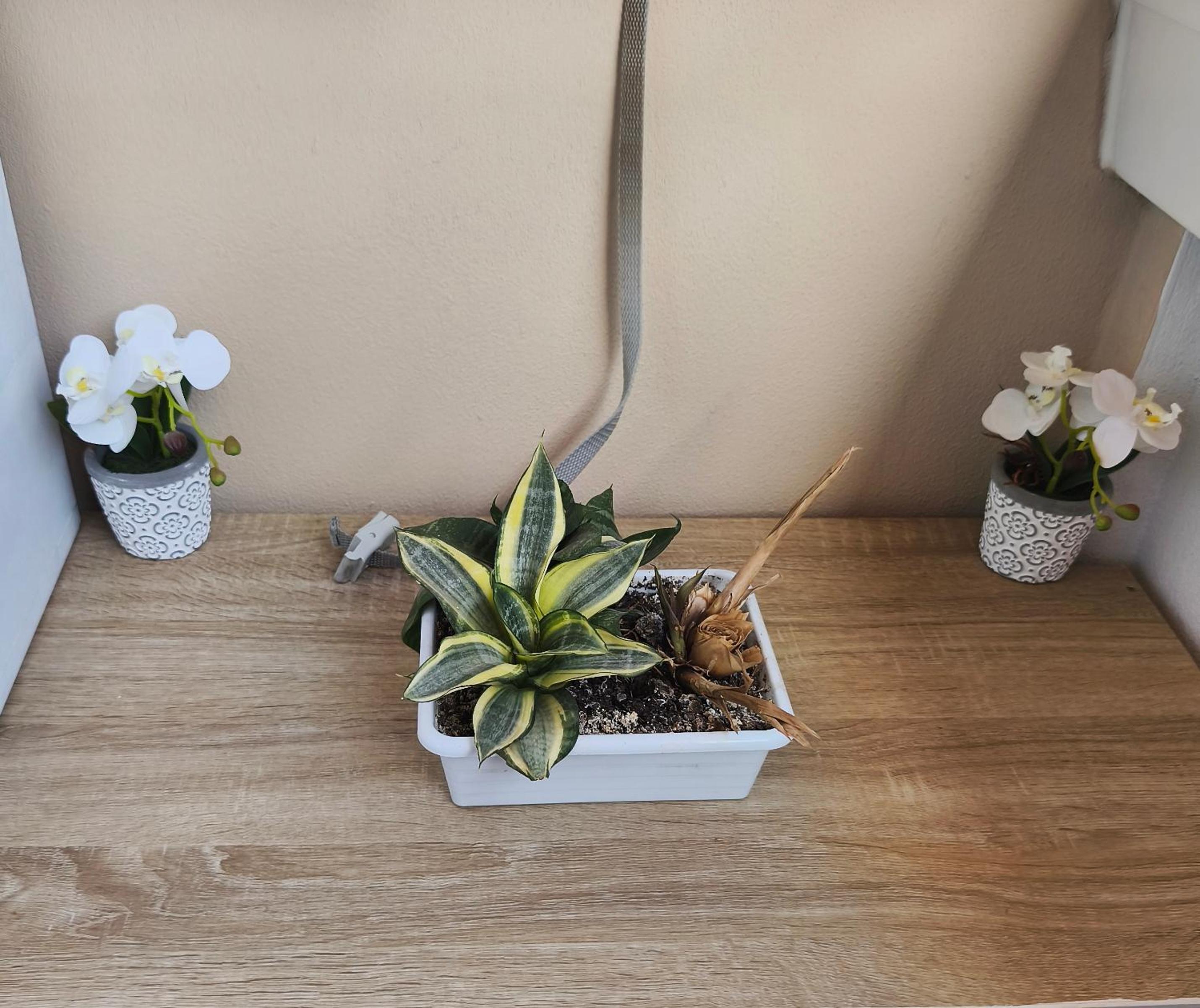 Apartamento nuevo con parking y piscina gratis