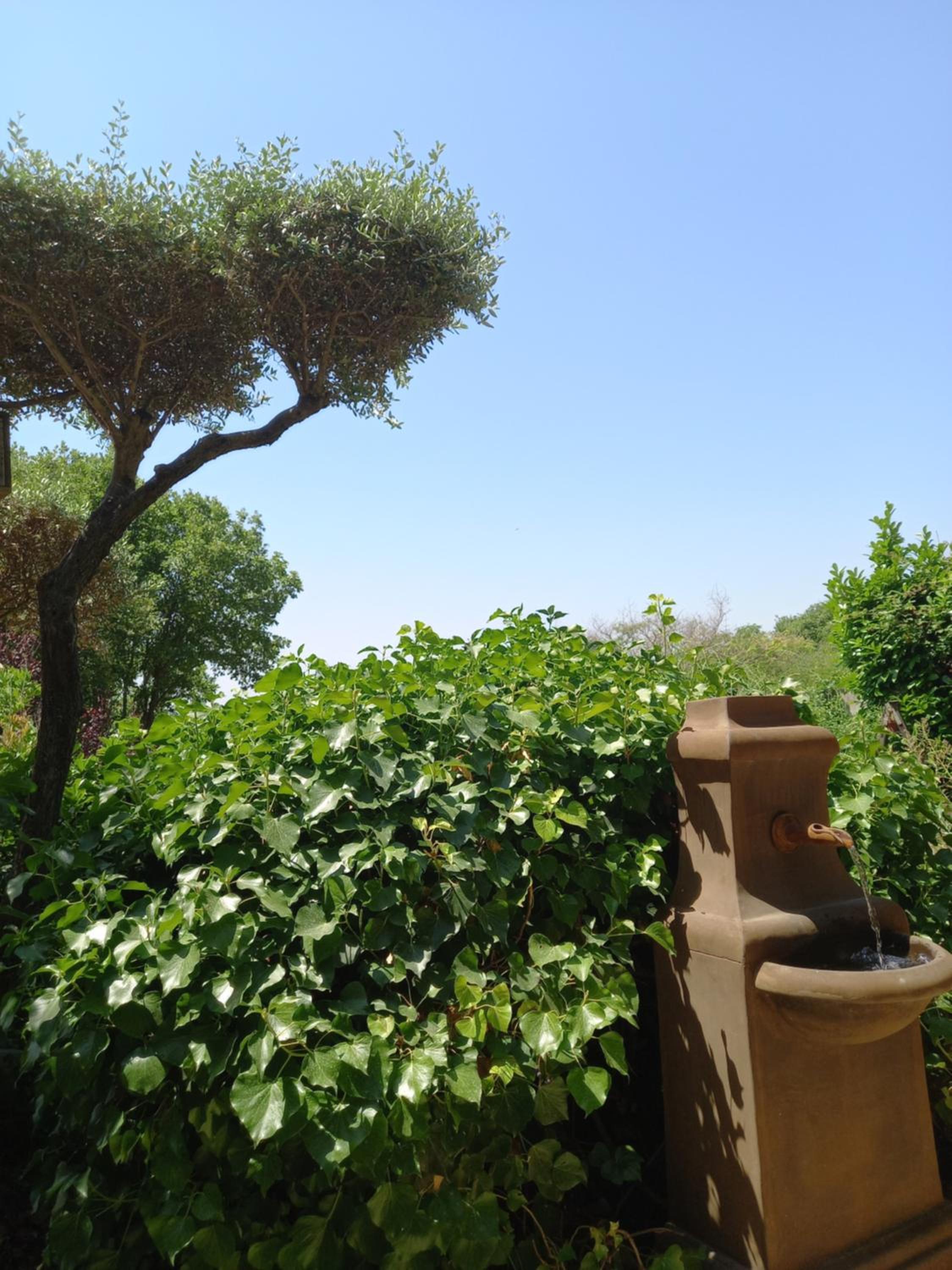 Le jardin de Sabine, photo 35