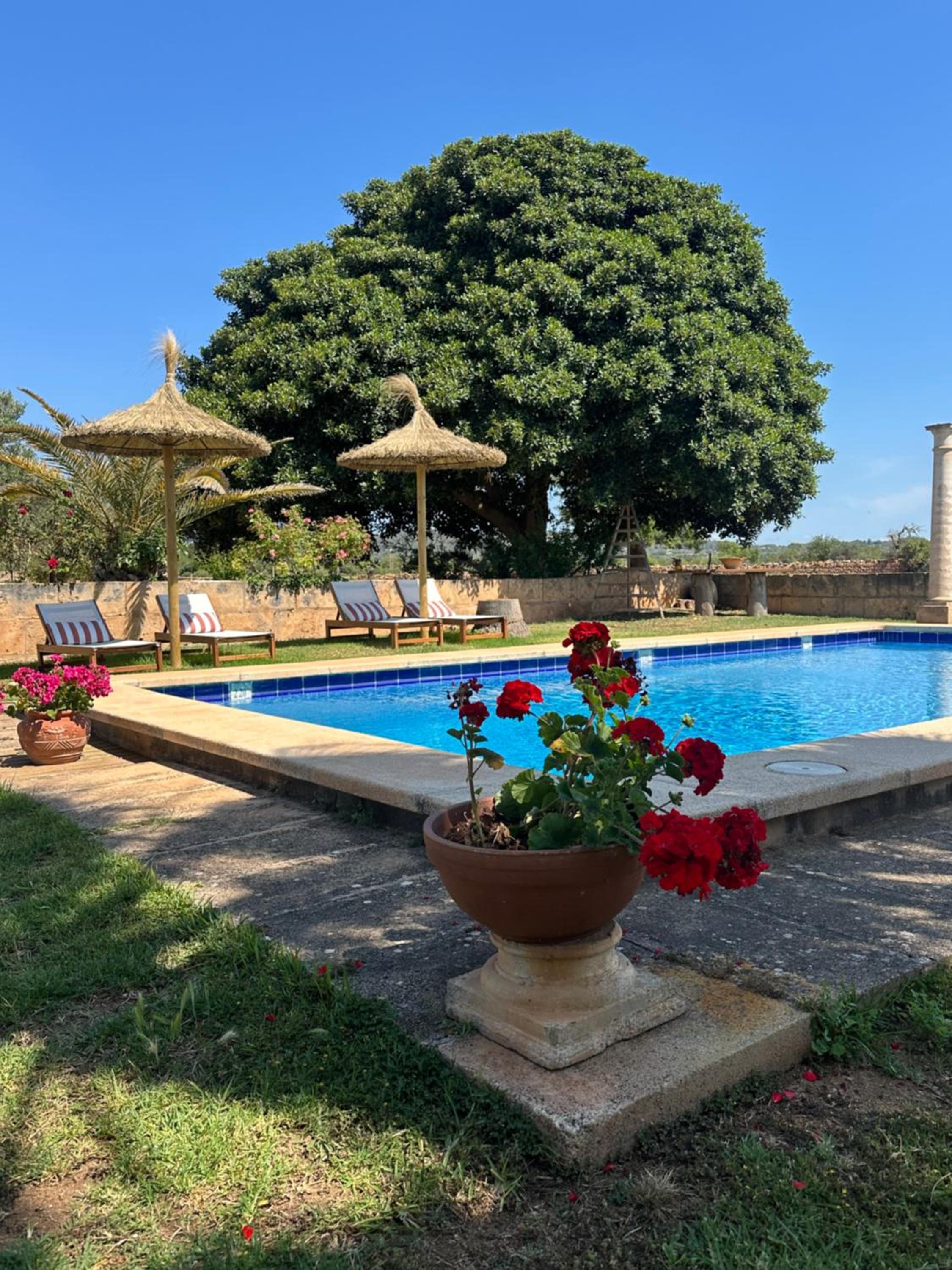 Agroturismo Finca Son Pieras