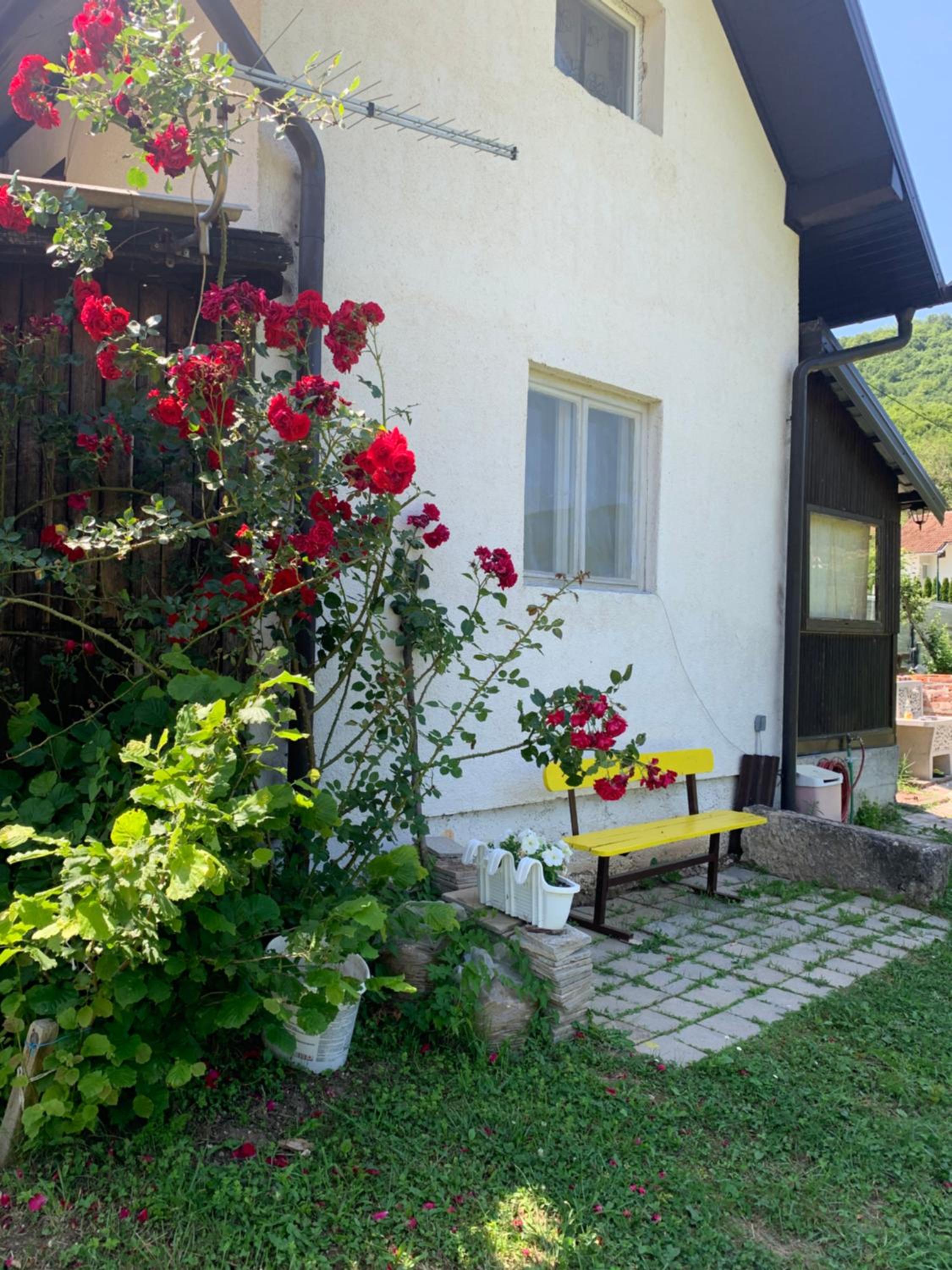 Photo 46