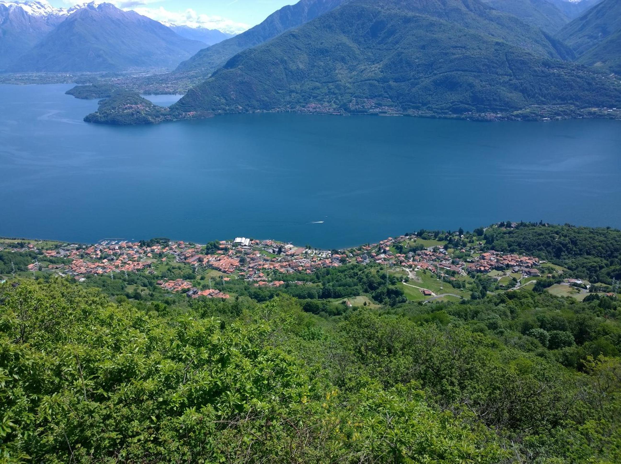Photo 44
