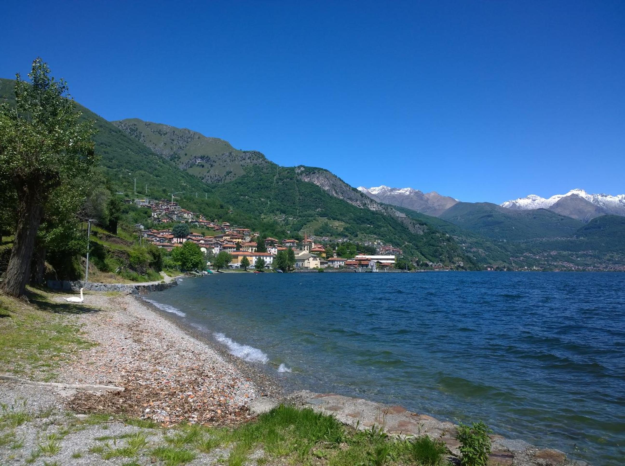 Photo 41