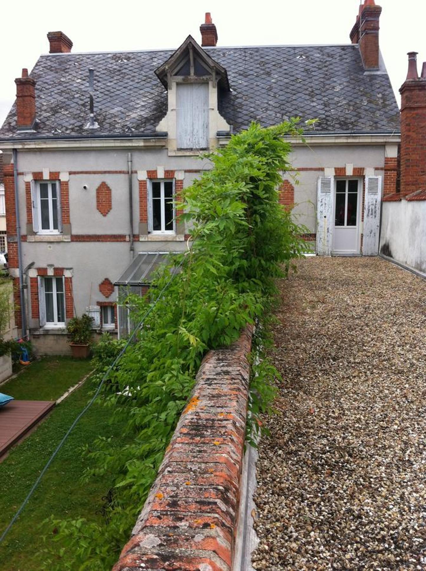 les Thiausères, photo 27