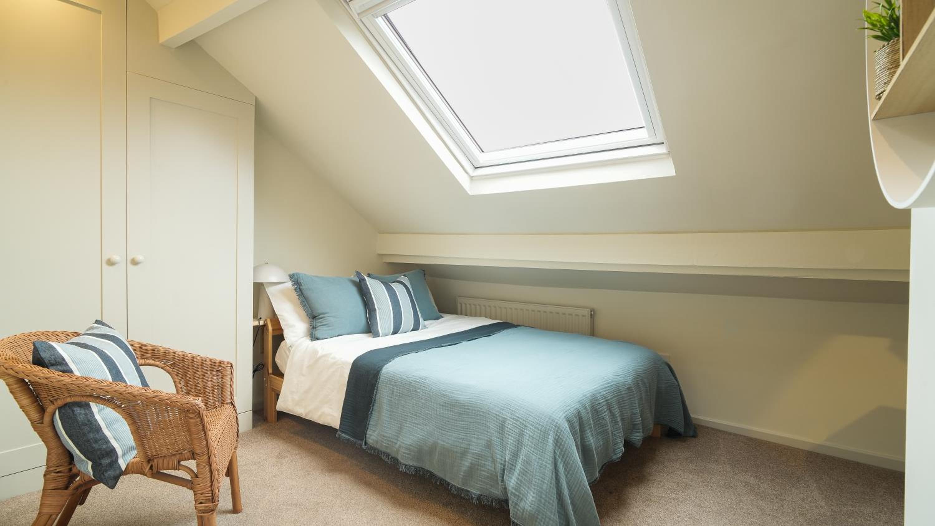 Crookes Gem with Garden & Alpacas Nearby