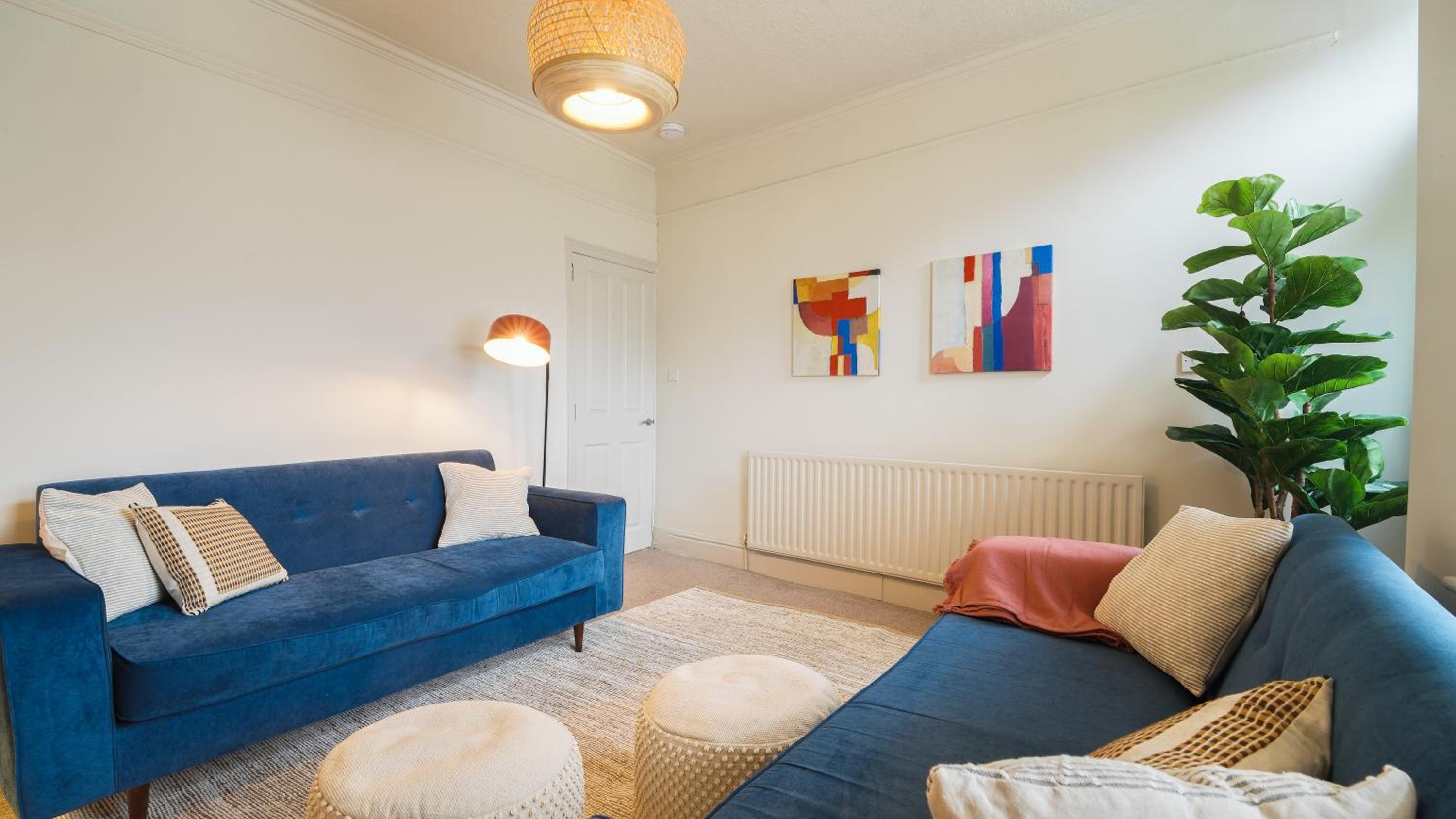 Crookes Gem with Garden & Alpacas Nearby