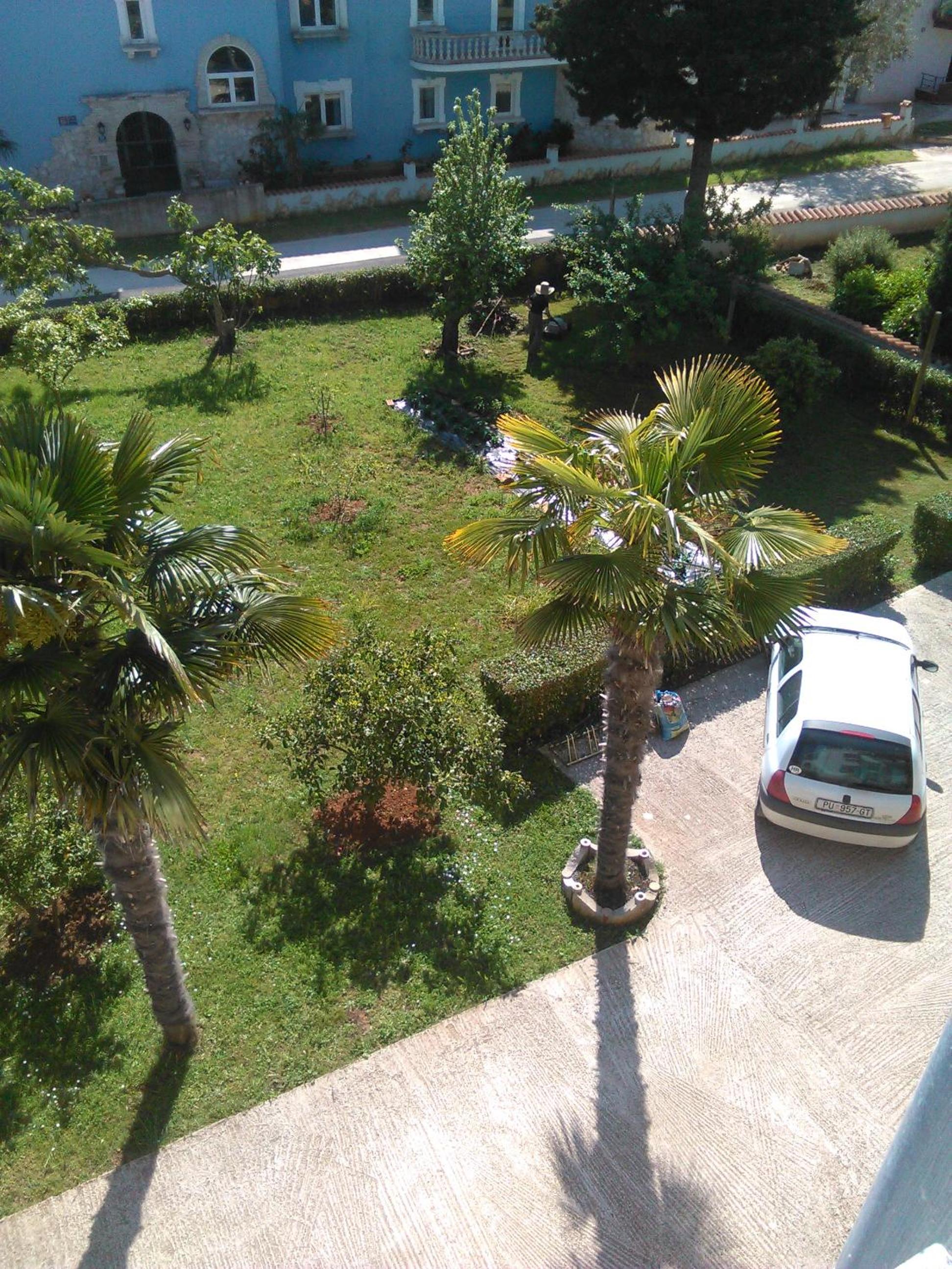 Apartments Zova