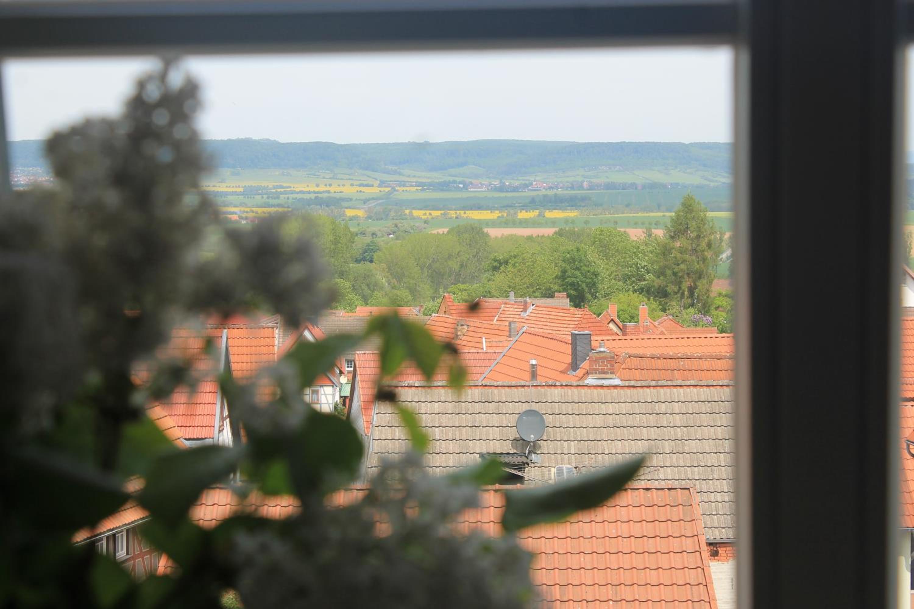Forest Guest House view 2
