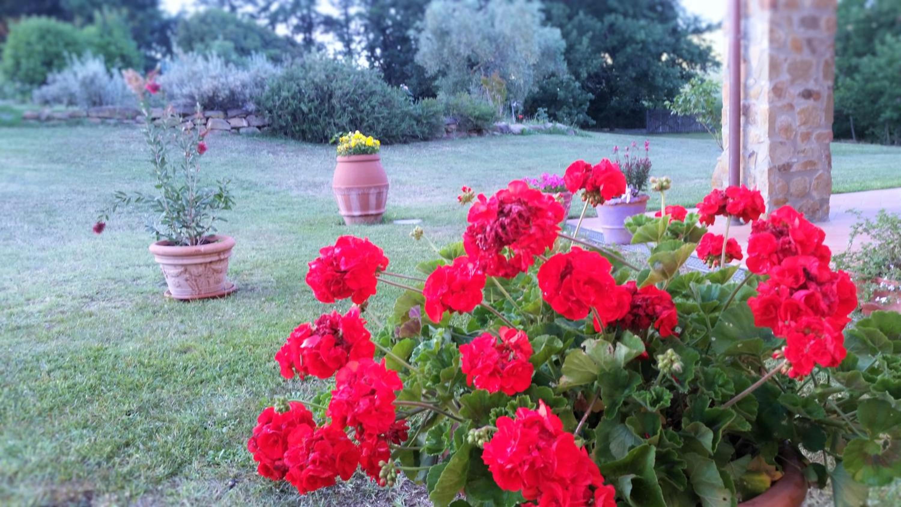 Agriturismo Bonzalone