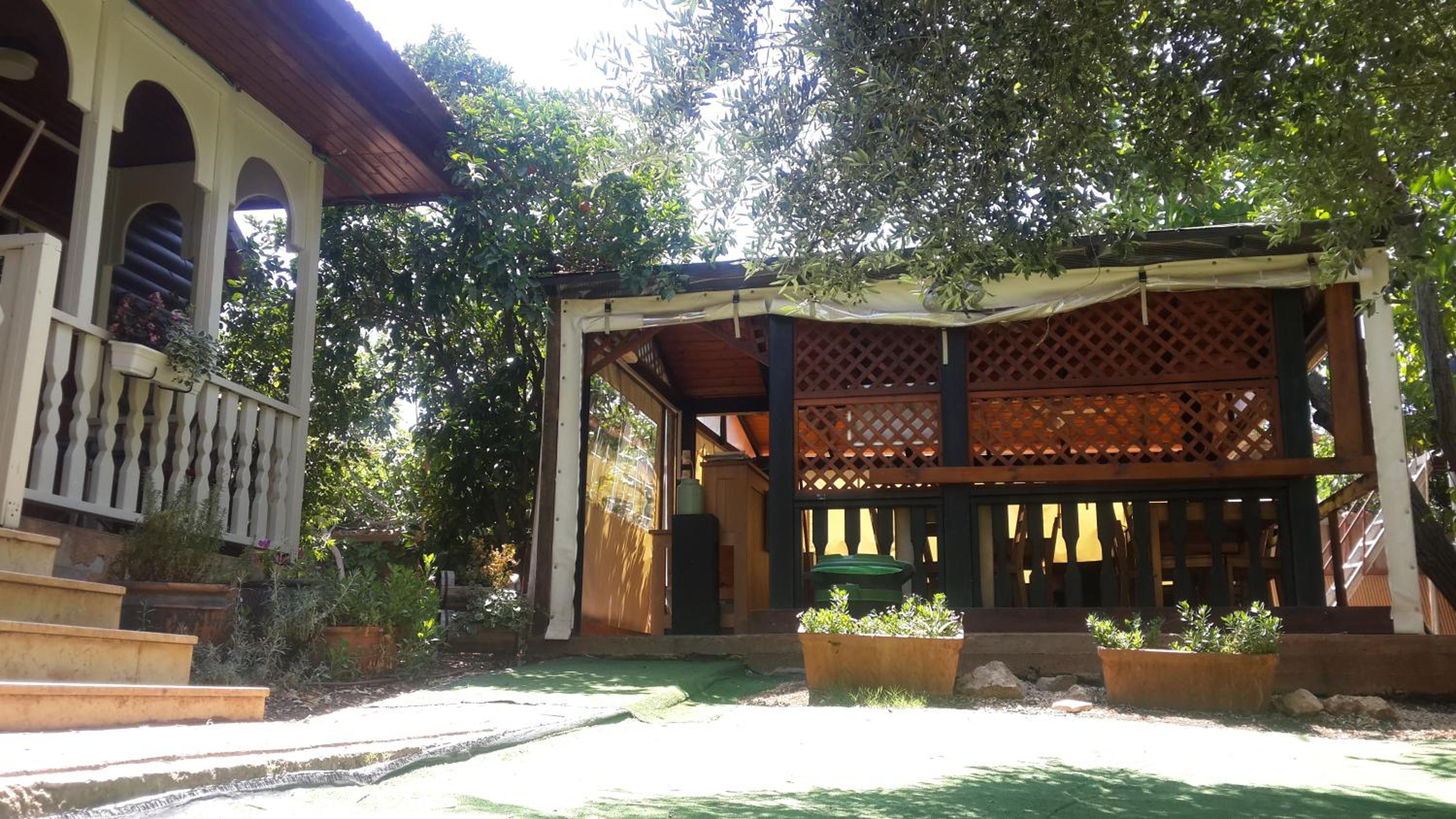 Photo 8