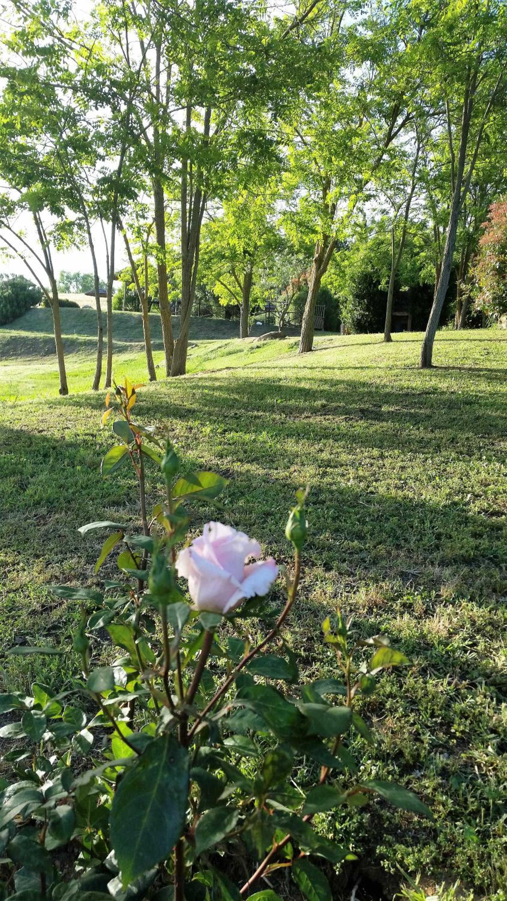 Agriturismo Bonzalone
