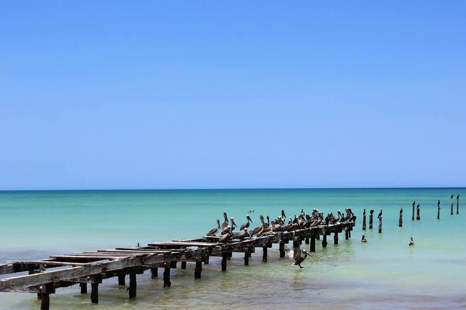 Cabañas El Cuyo