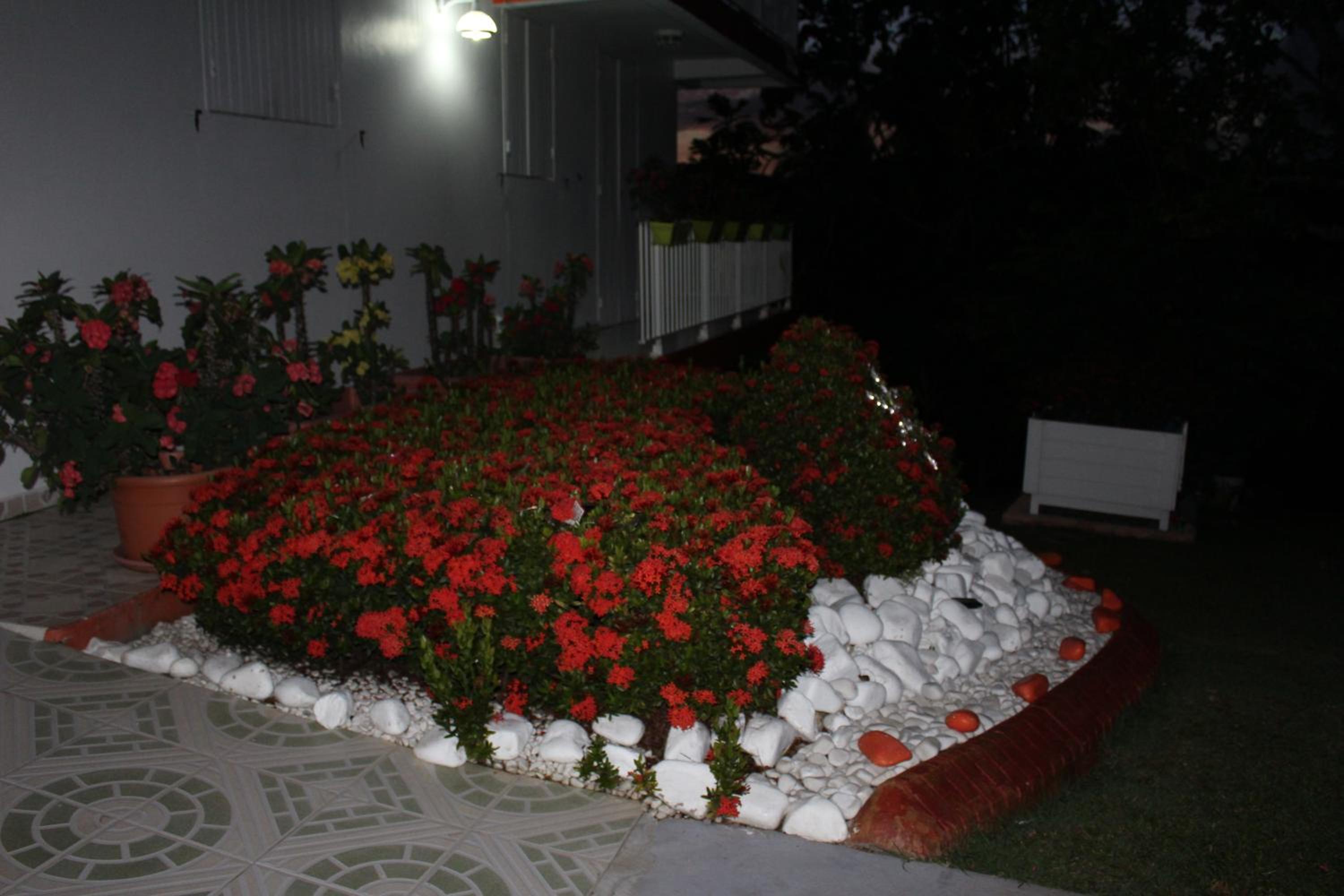 Photo 33