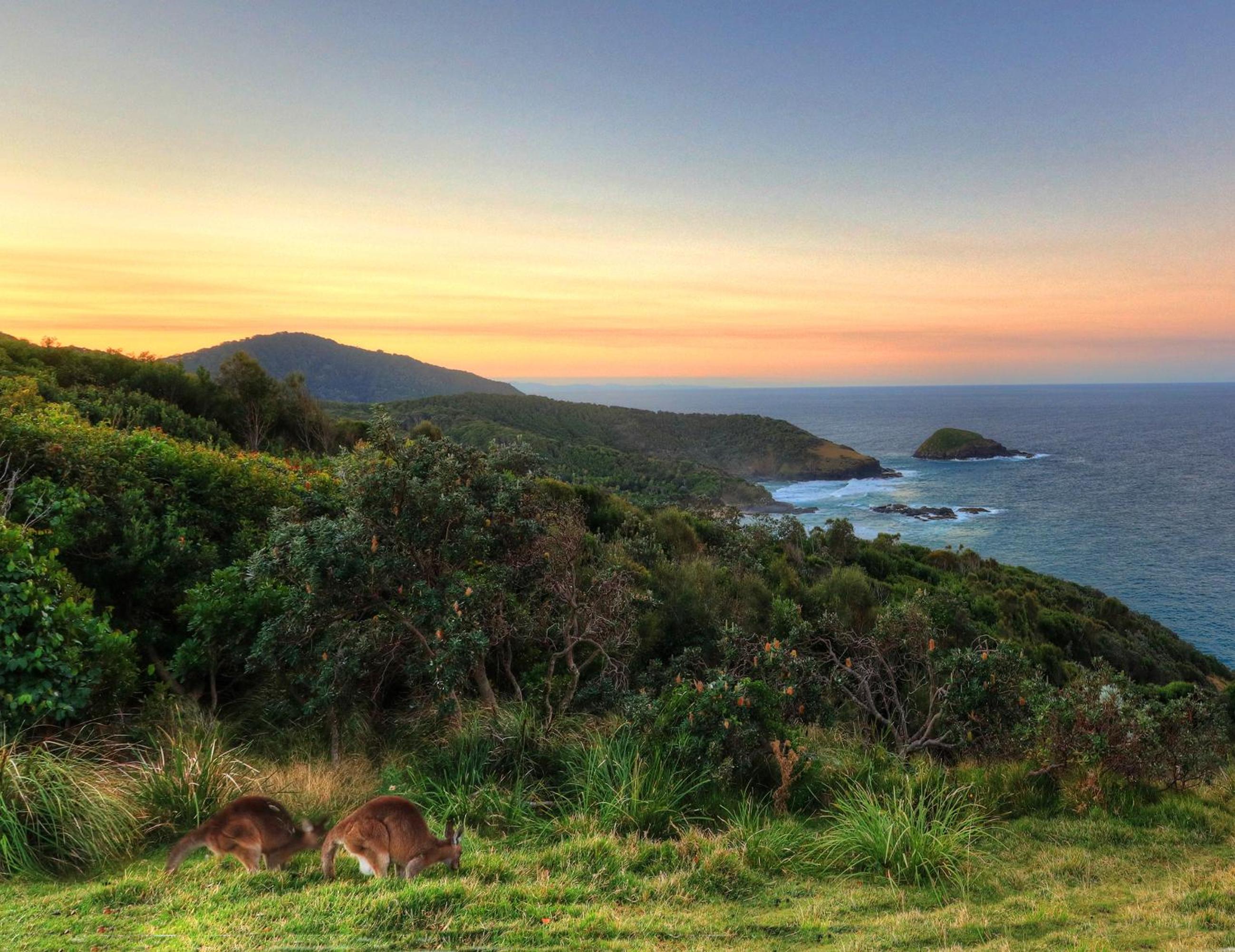 NRMA South West Rocks Holiday Park