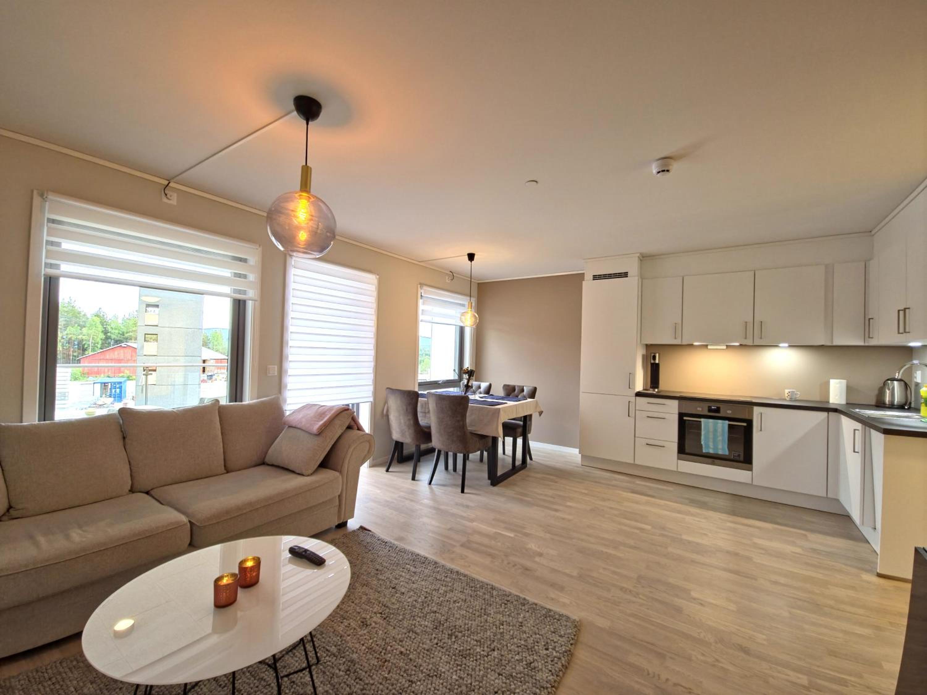 Modern brand new apartment Kongsberg