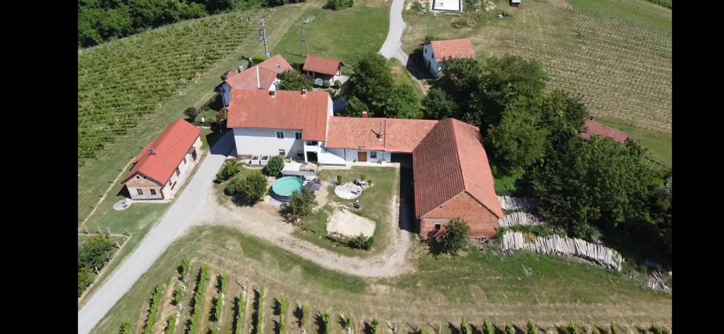 Apartma Minka