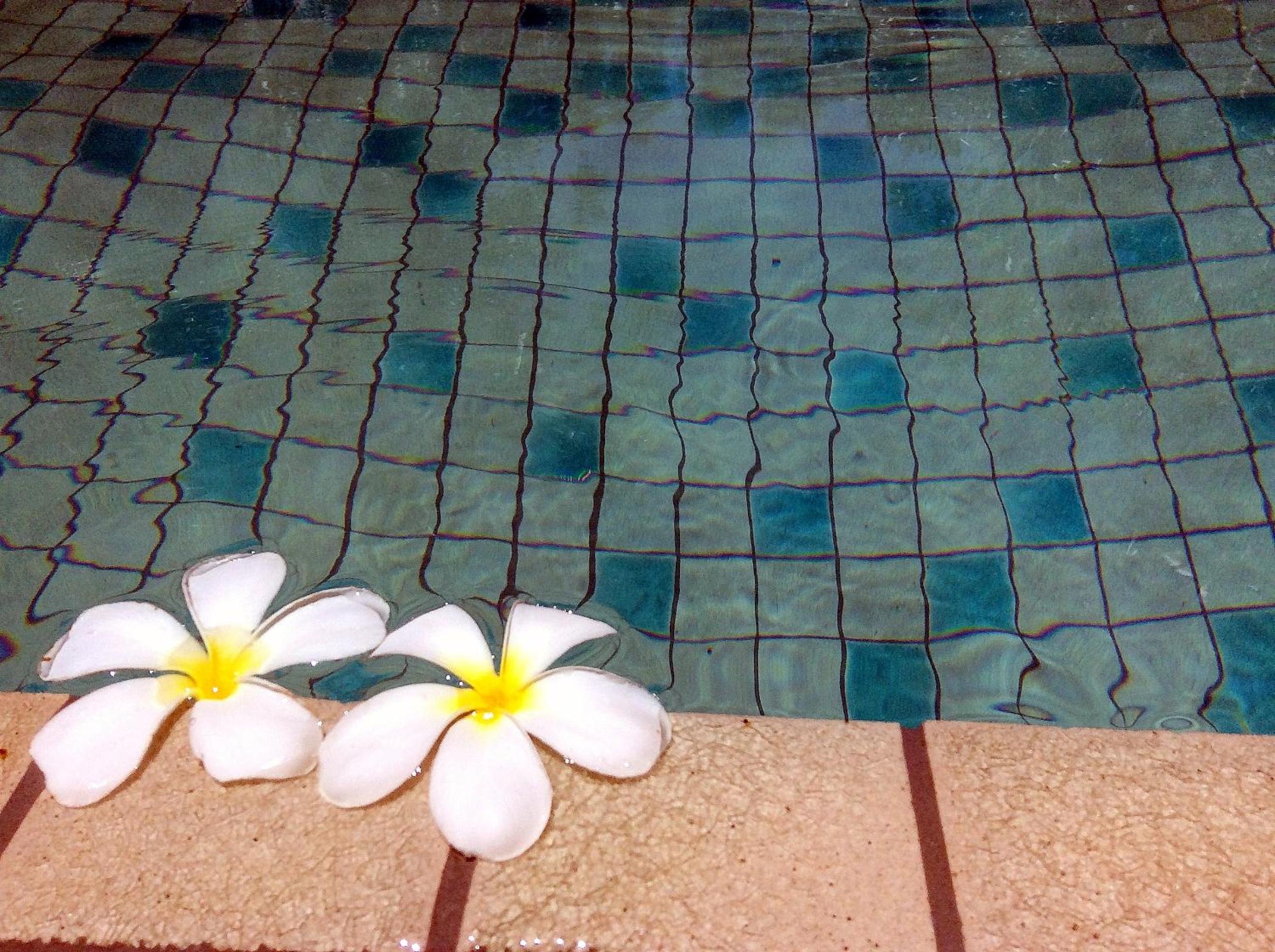 Apartments in The Title Beach Rawai