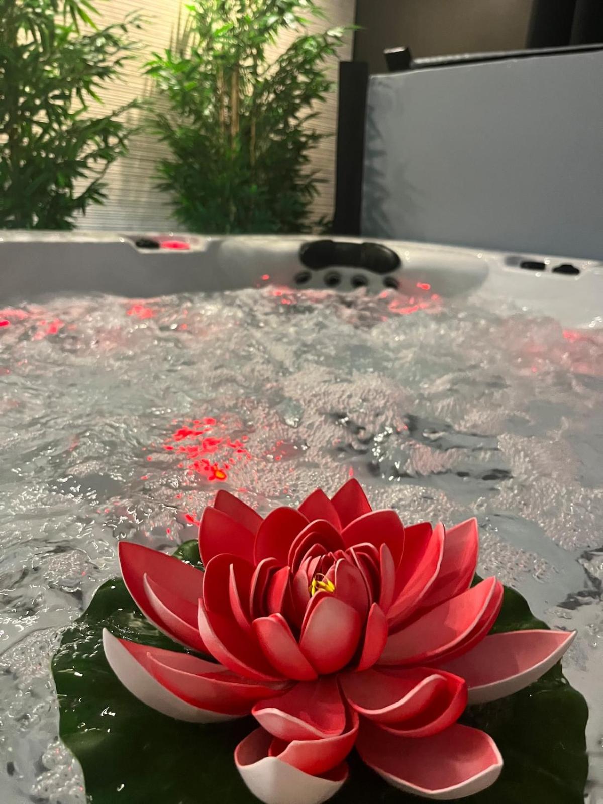 La Charmeuse, suite luxueuse romantique & spa