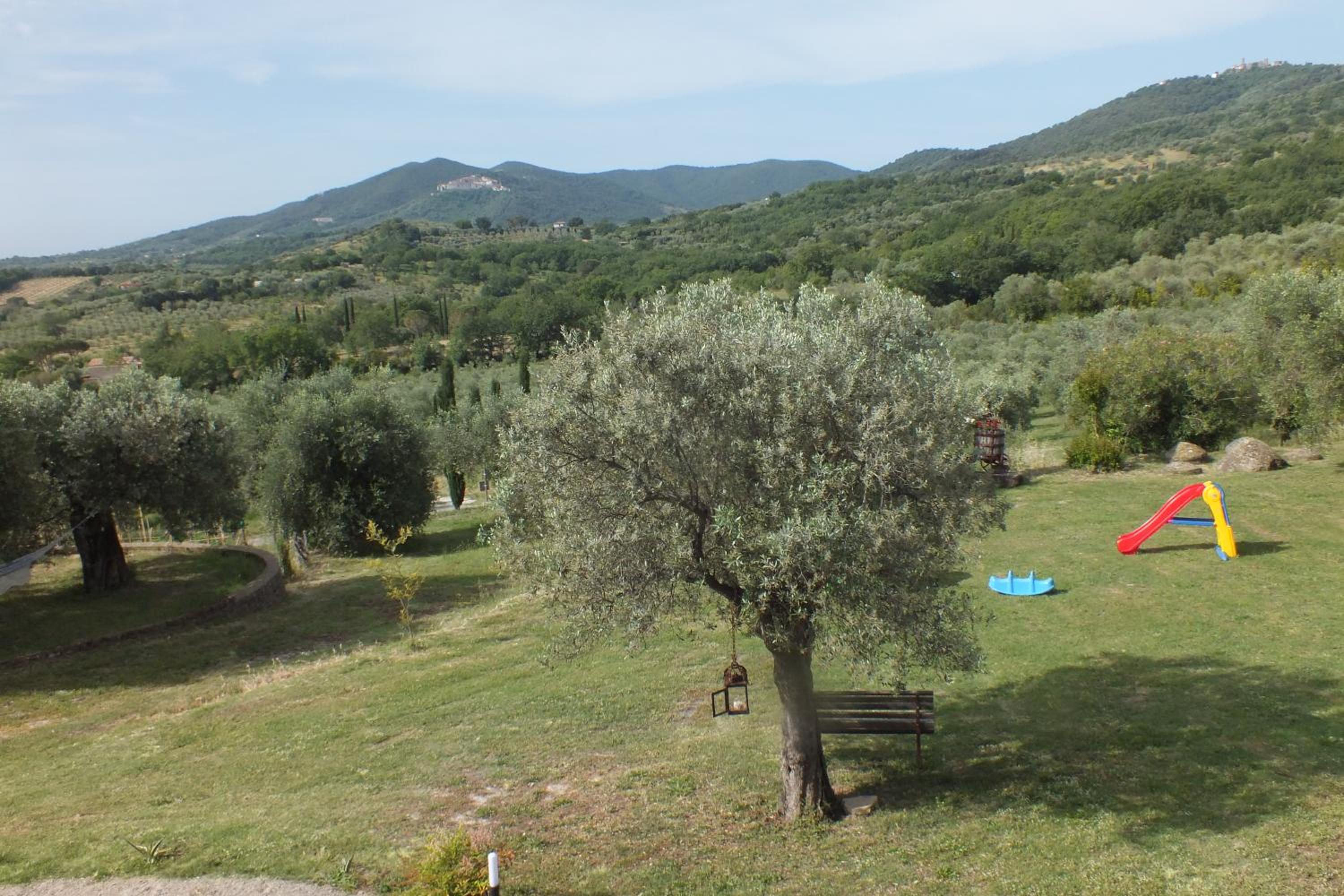 Casetta dell`Uliveto view 5