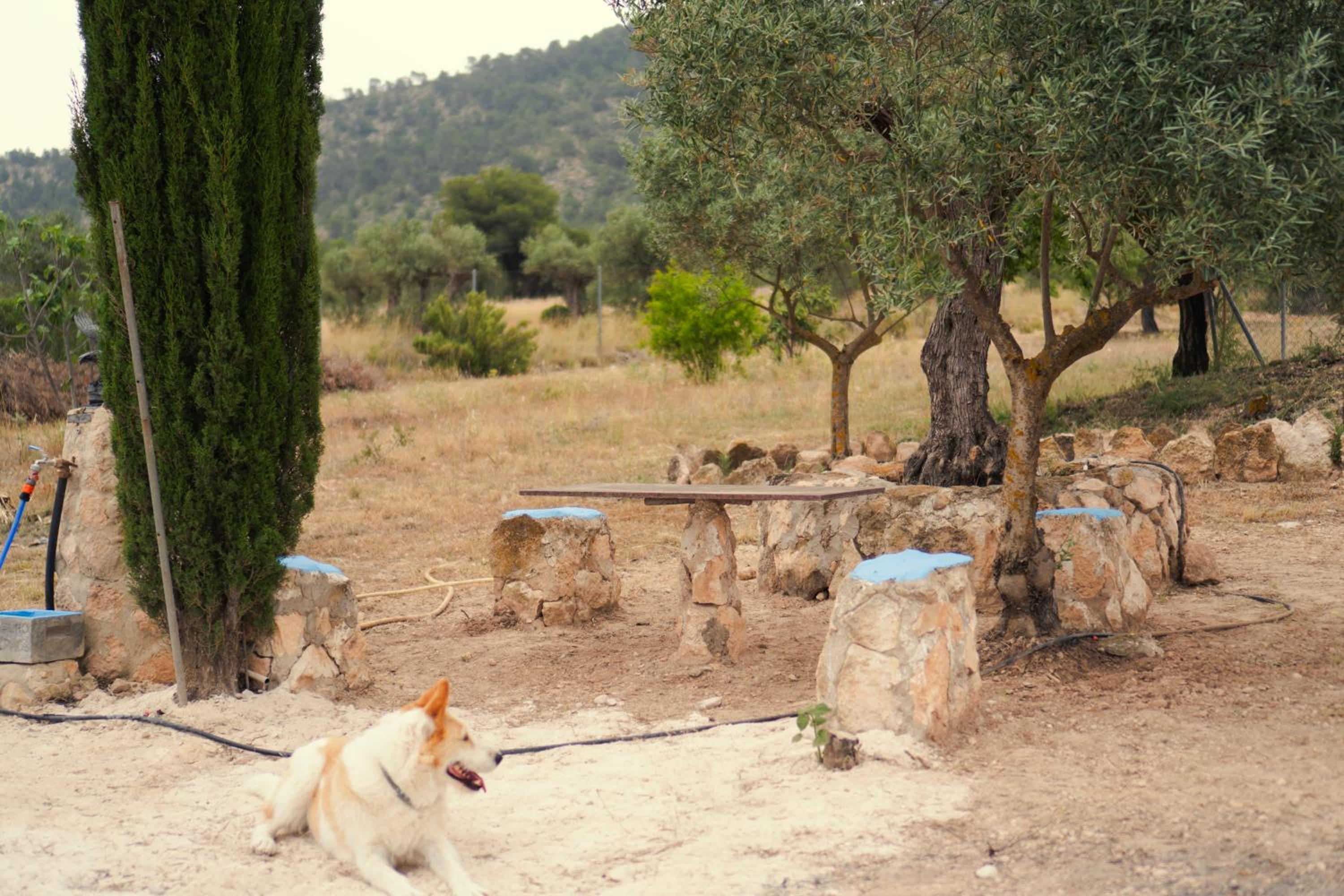 Casa la Serrana