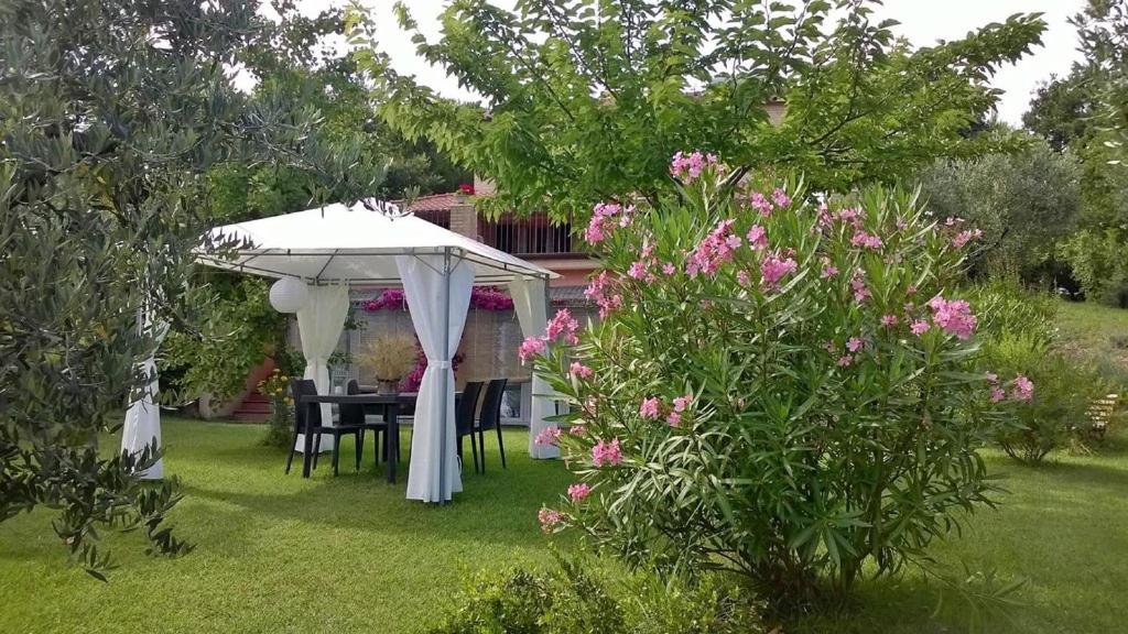 B&B Lieti Colli view 2