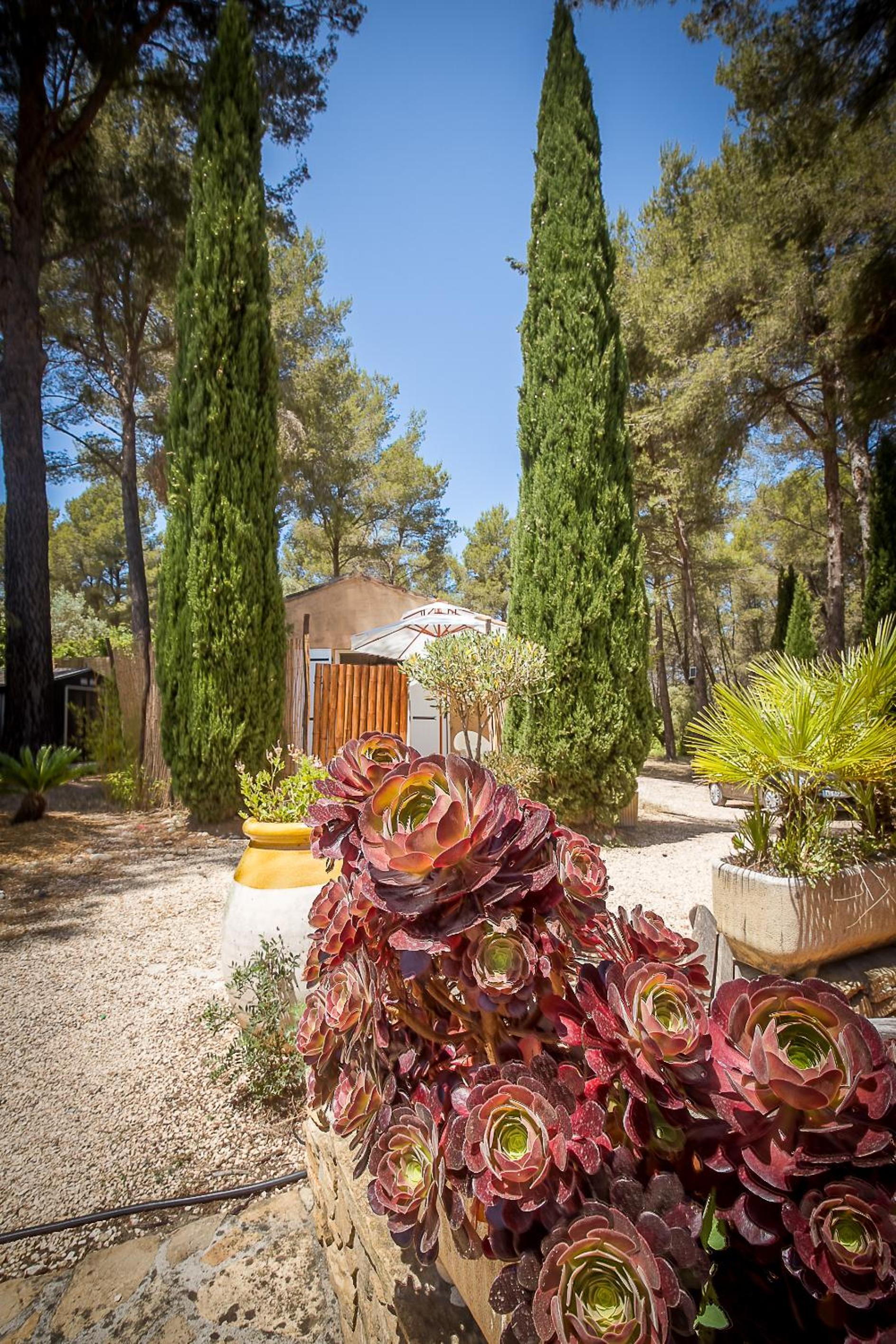 Villa Des oliviers, photo 10