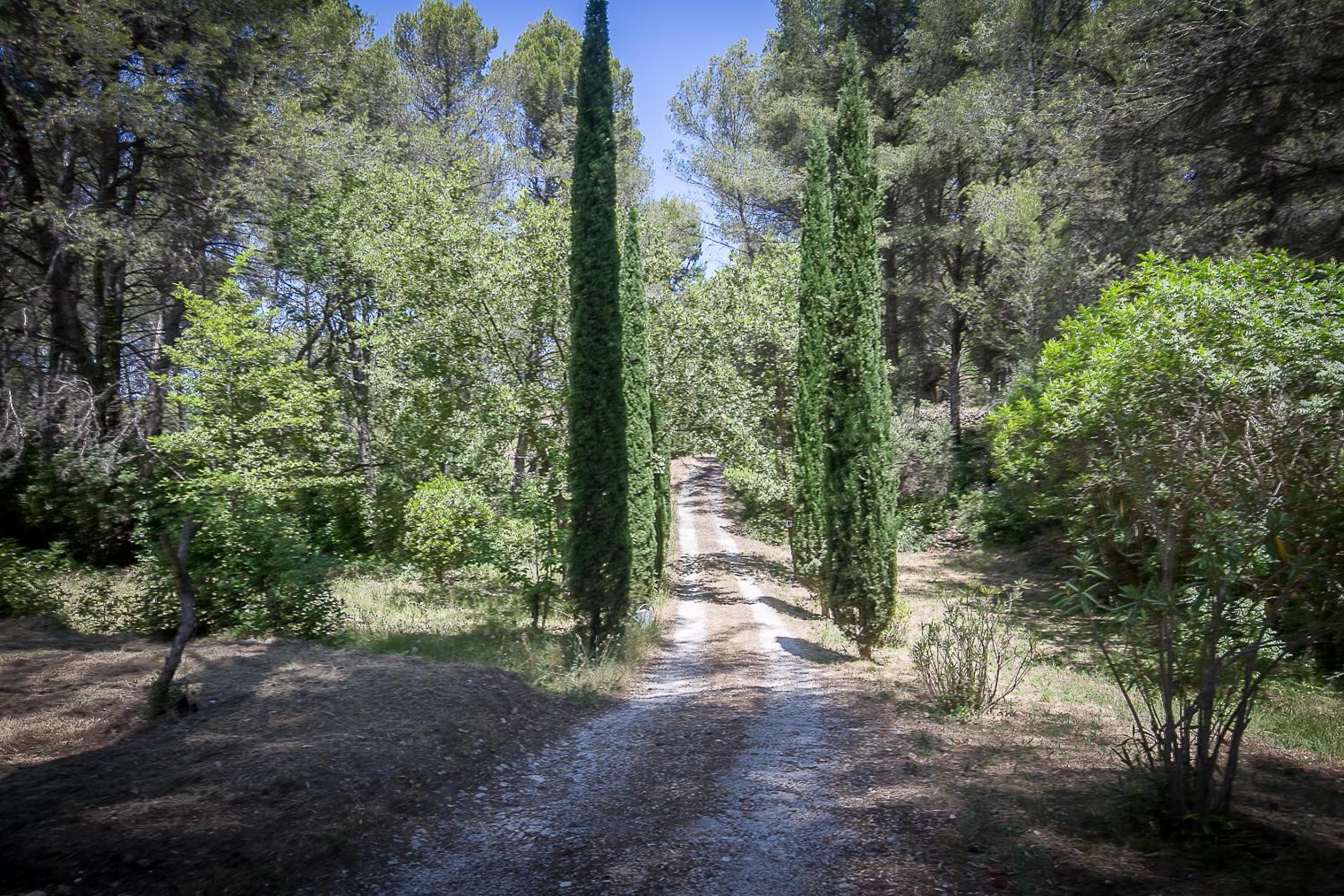 Villa Des oliviers, photo 36