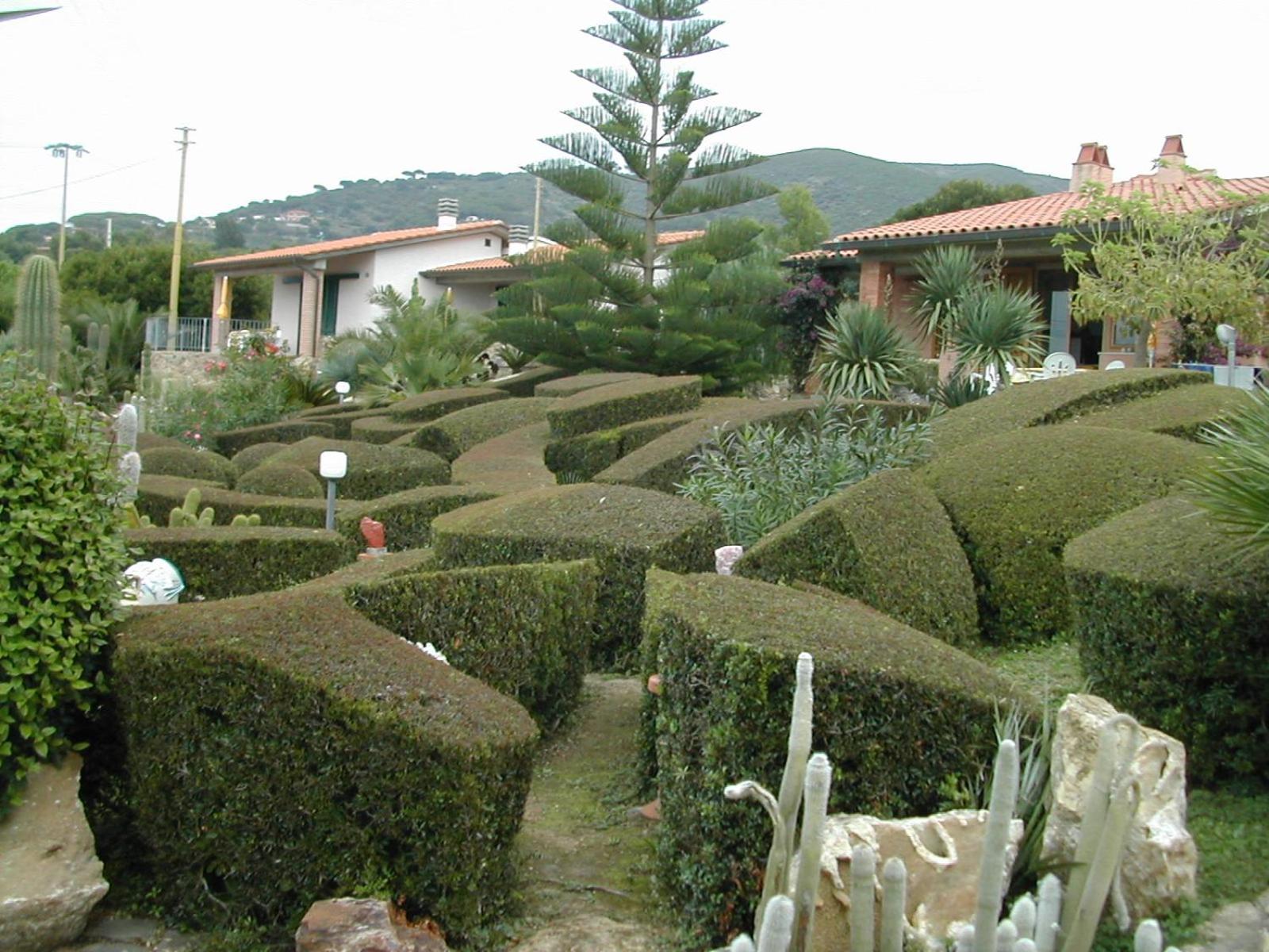 garden