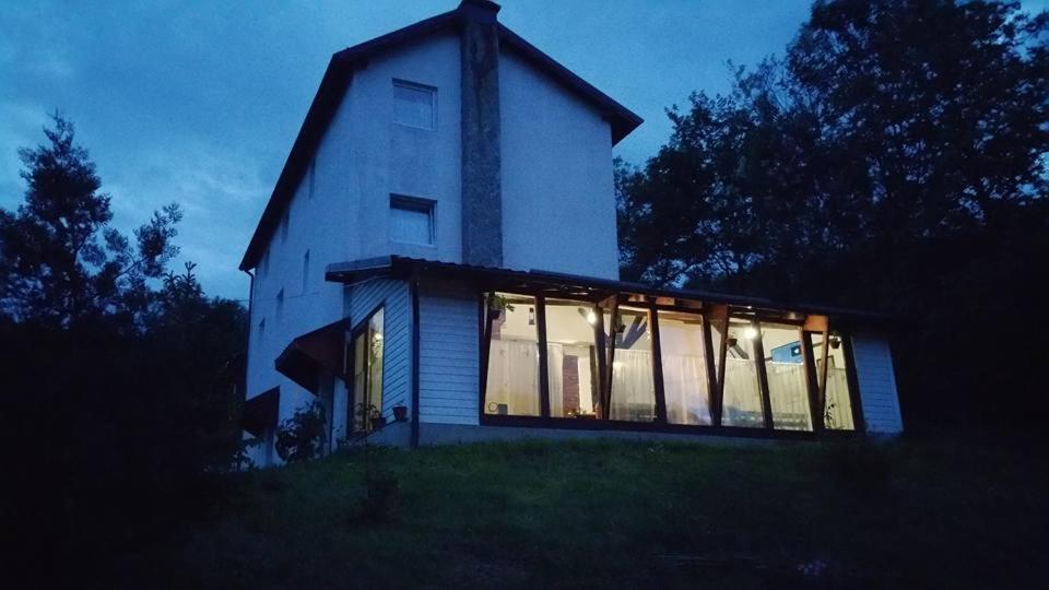 Casa Piscul Lupului view 2