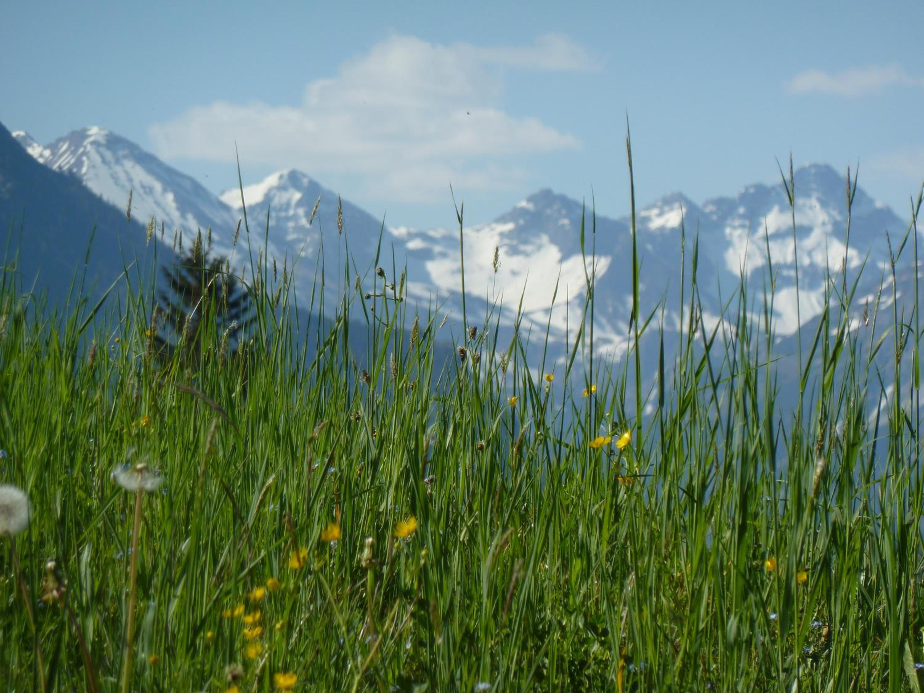 Hislar s Hüs en Oberstdorf