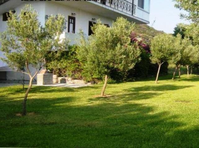 Petradaki Apartments