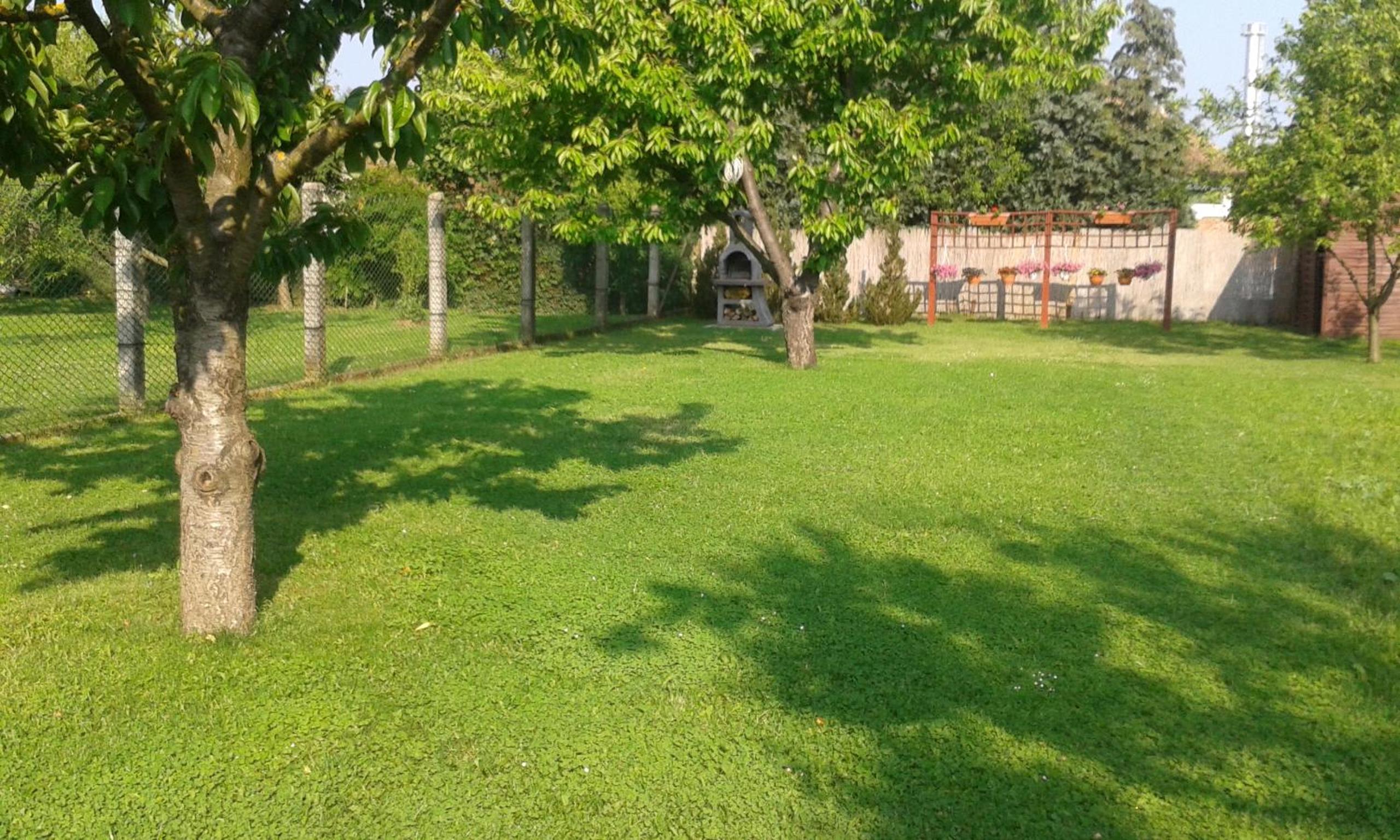 Photo 46