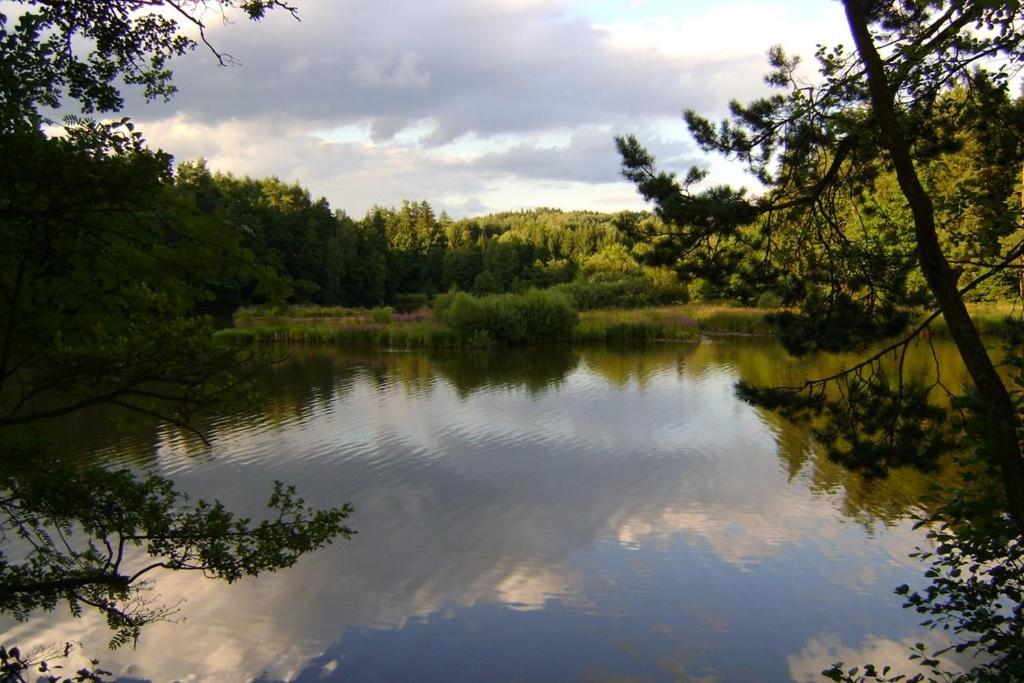 Haus Waldviertel am Herrensee view 5