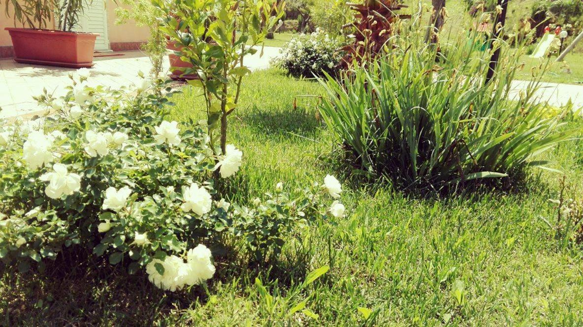 B&B Il Giardino Mediterraneo
