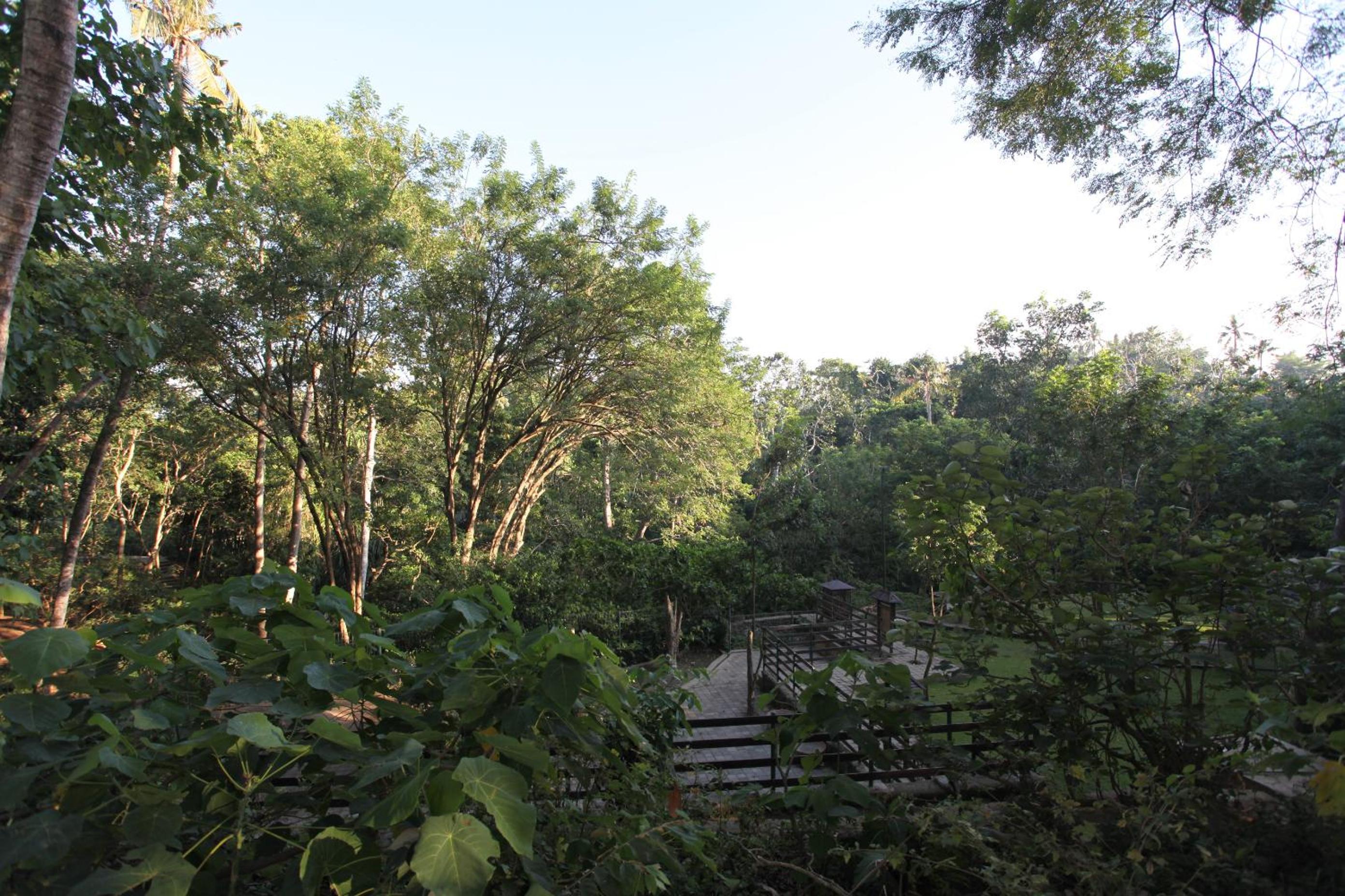 Ubud Wana Villa