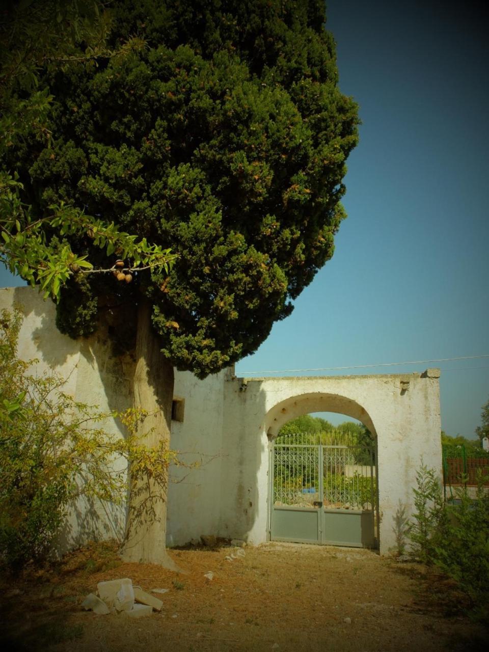 Photo 17