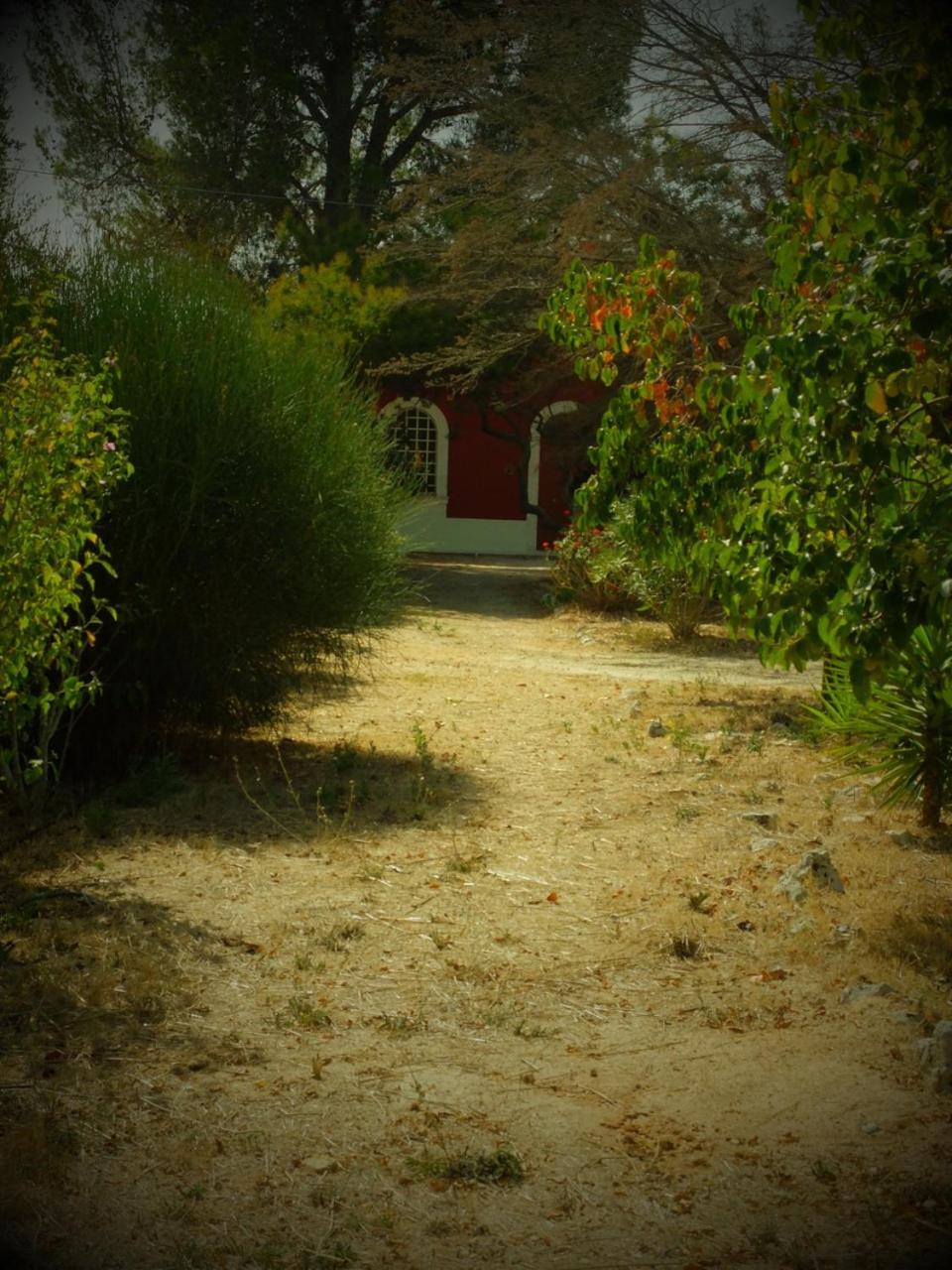 Photo 51