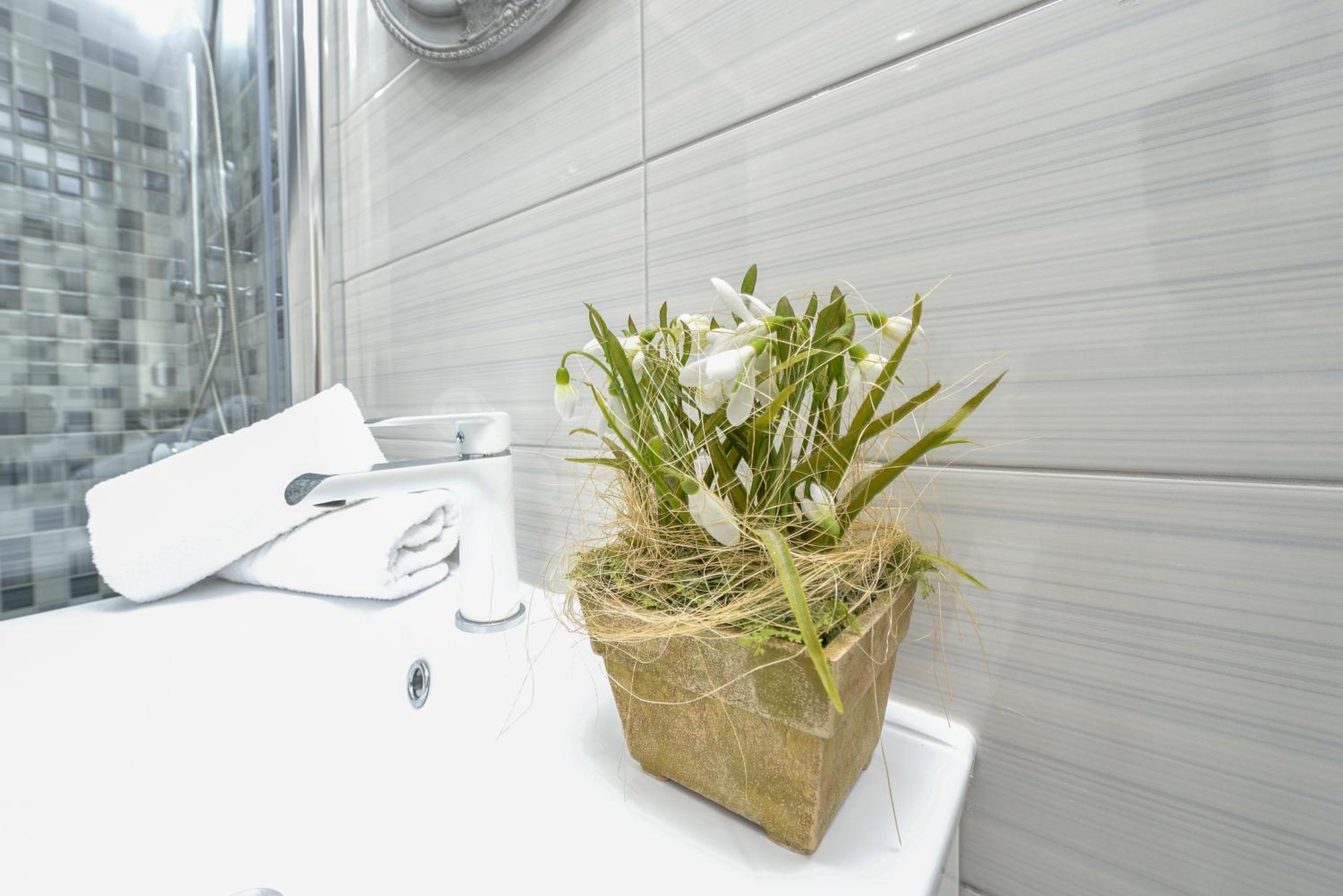 Apartment Stipan