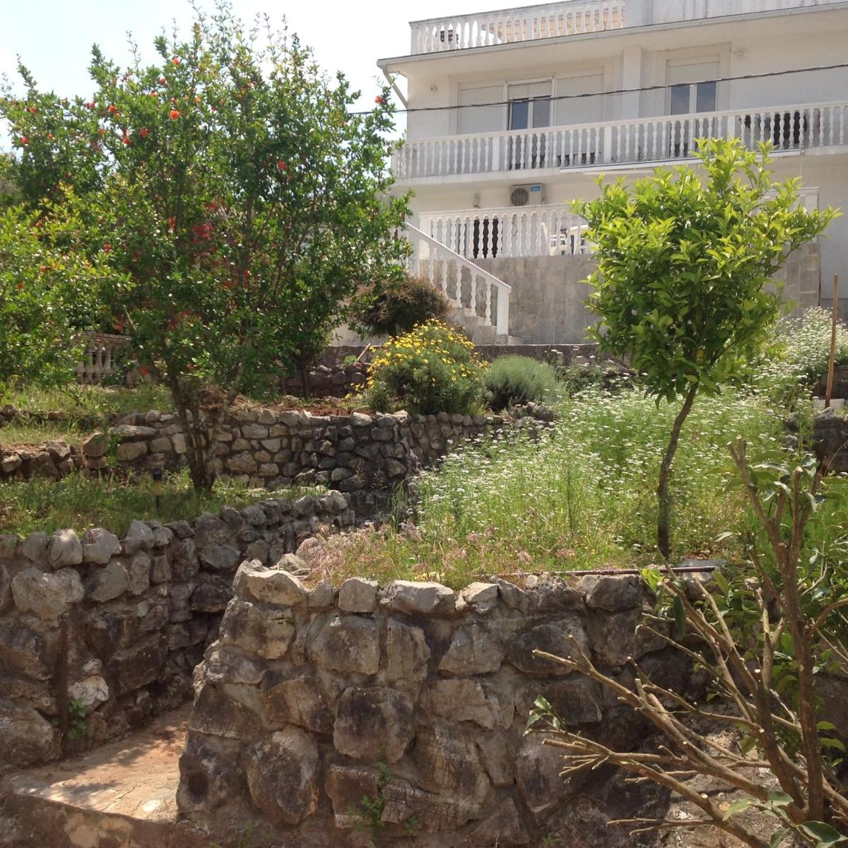 Guest House "Paradise" photo 2