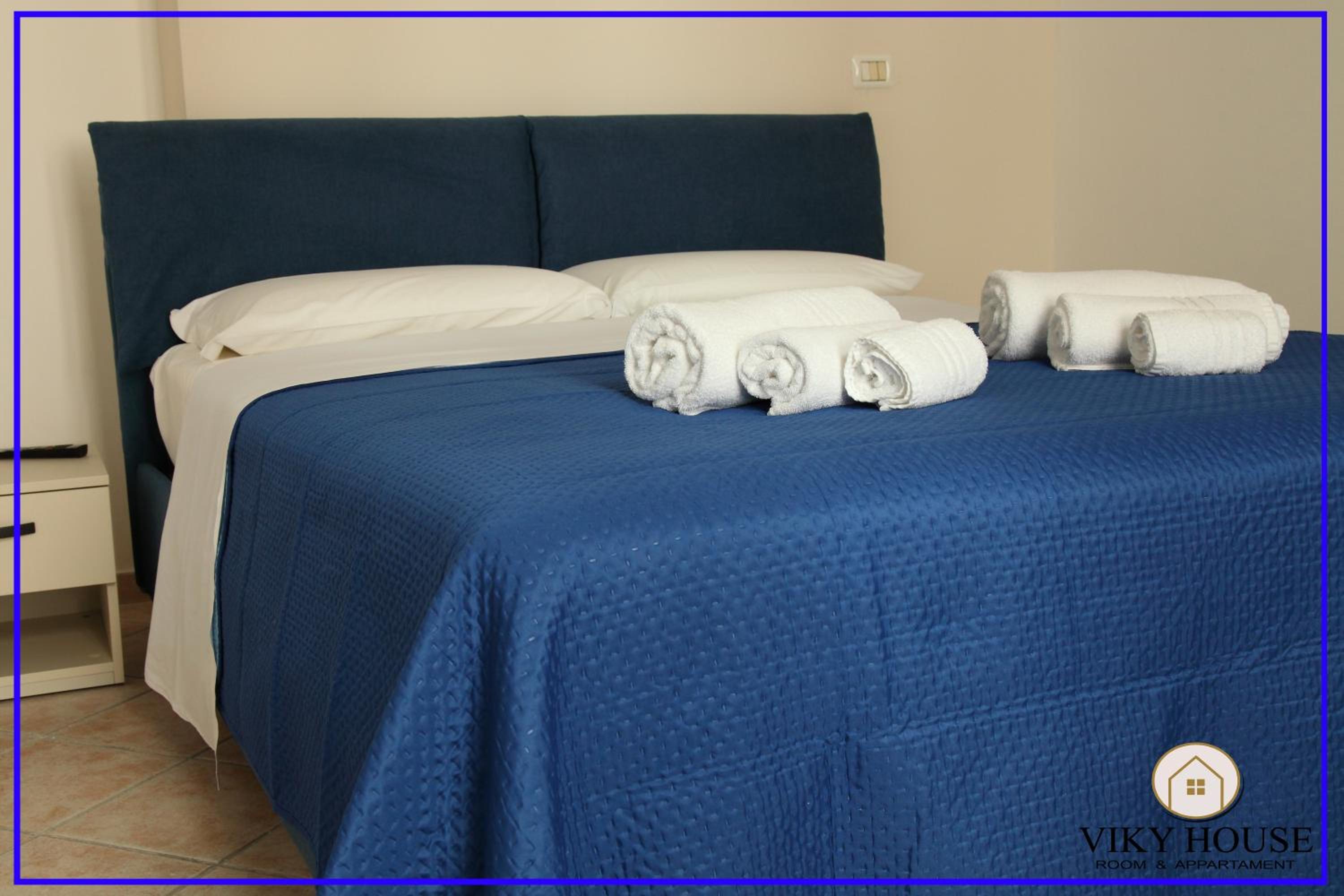 Viki House