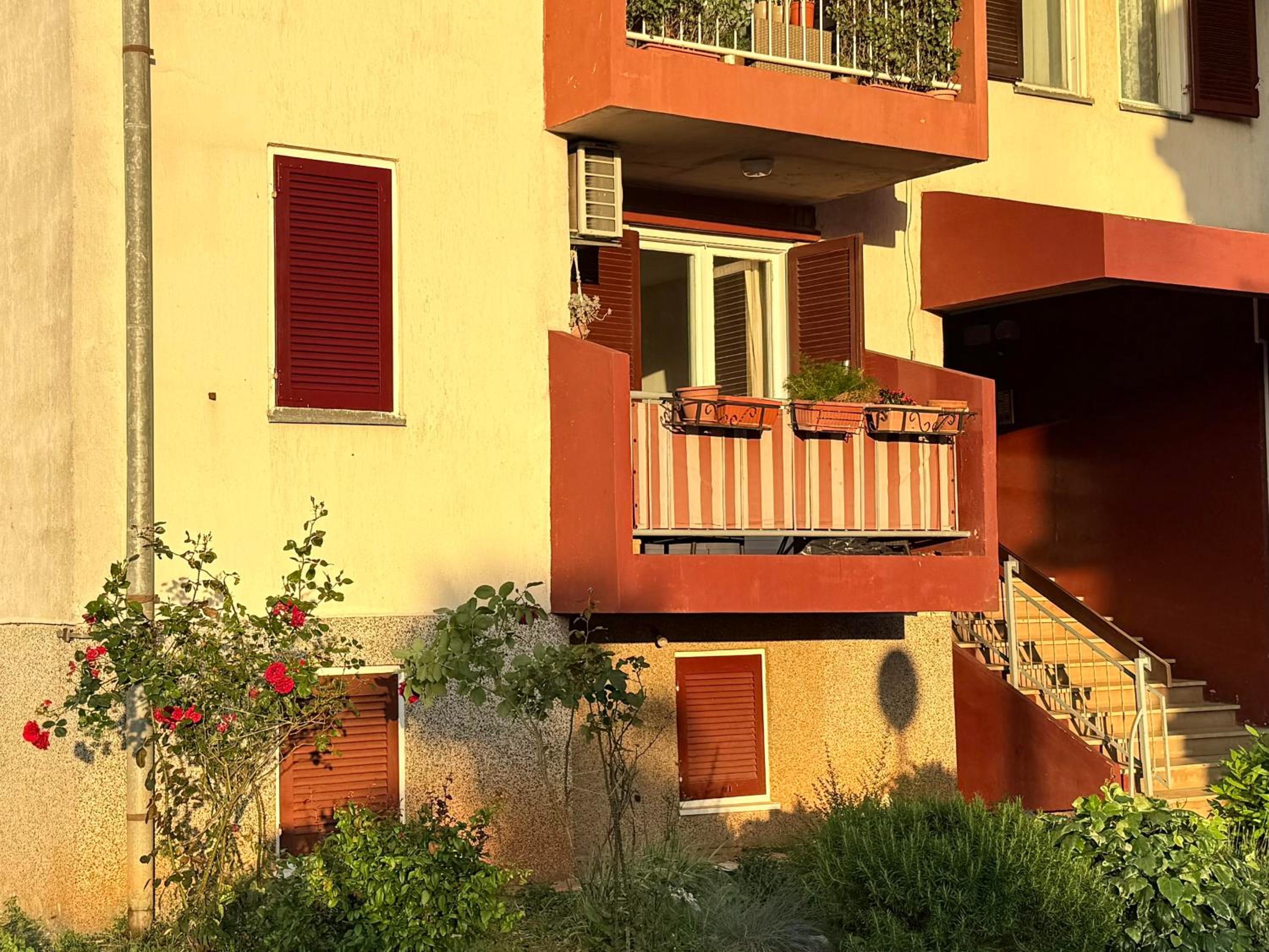 Viola Apartment