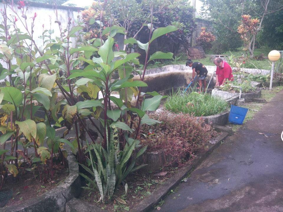 Photo 41