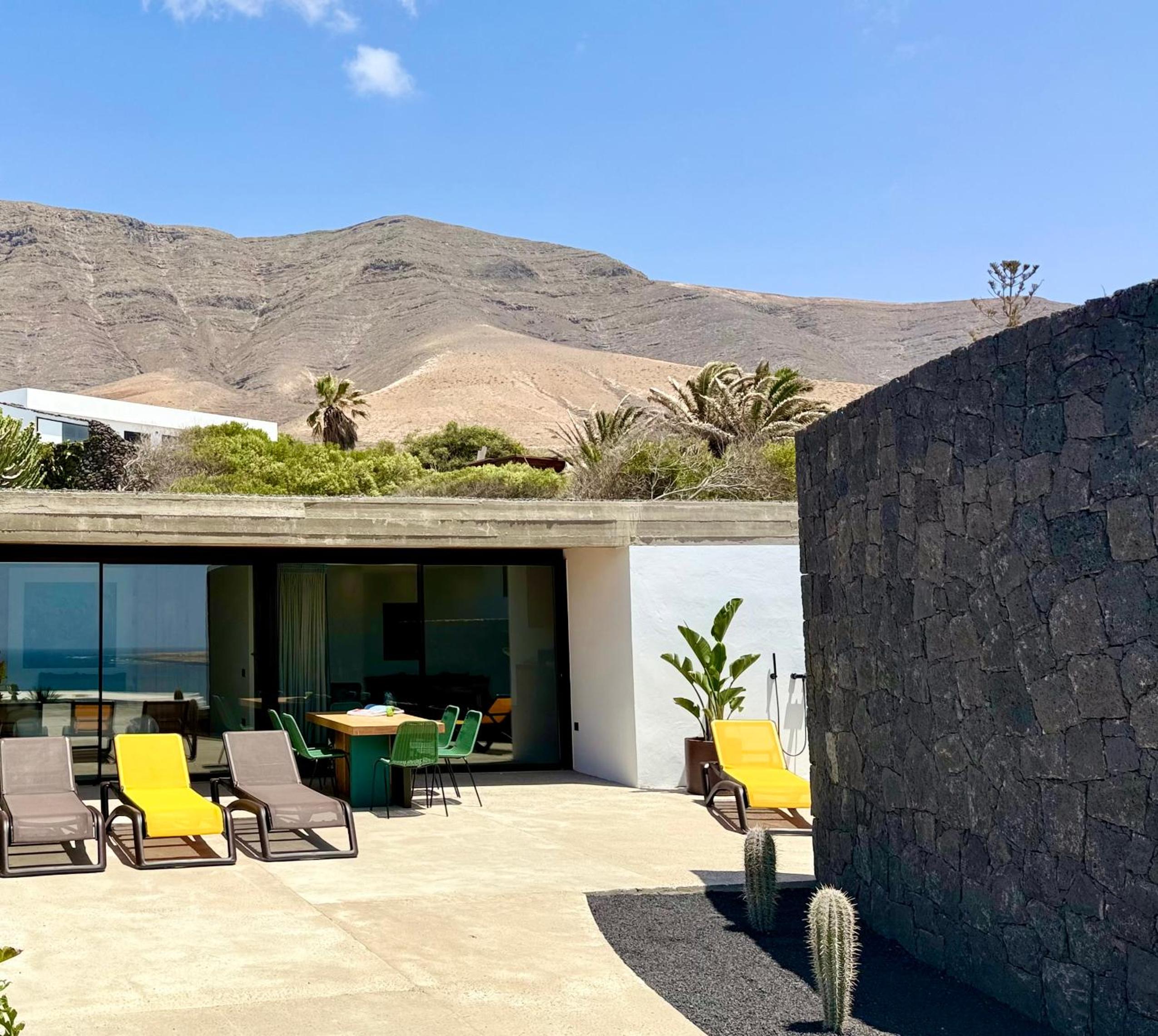 Canaryislandshost I Oliva