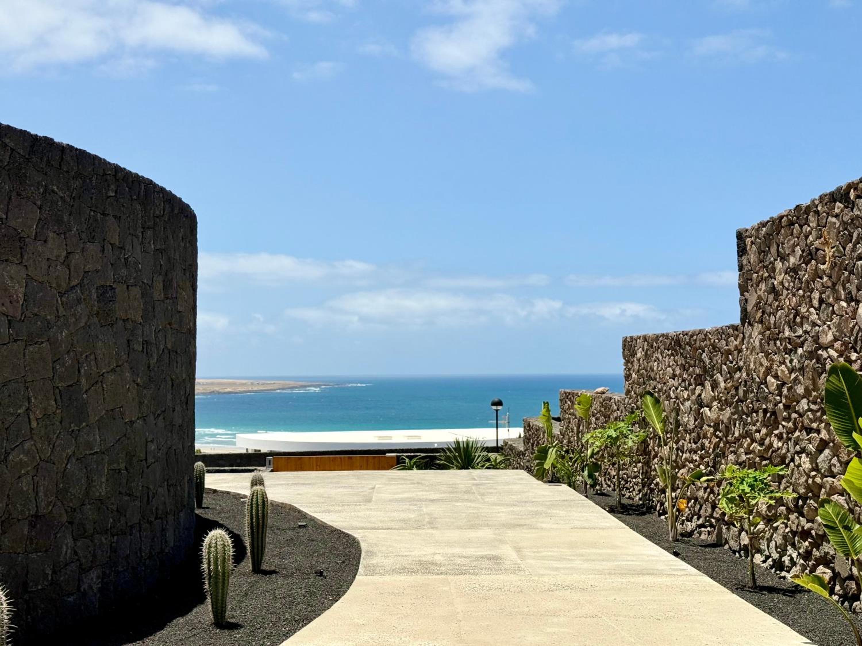 Canaryislandshost I Oliva