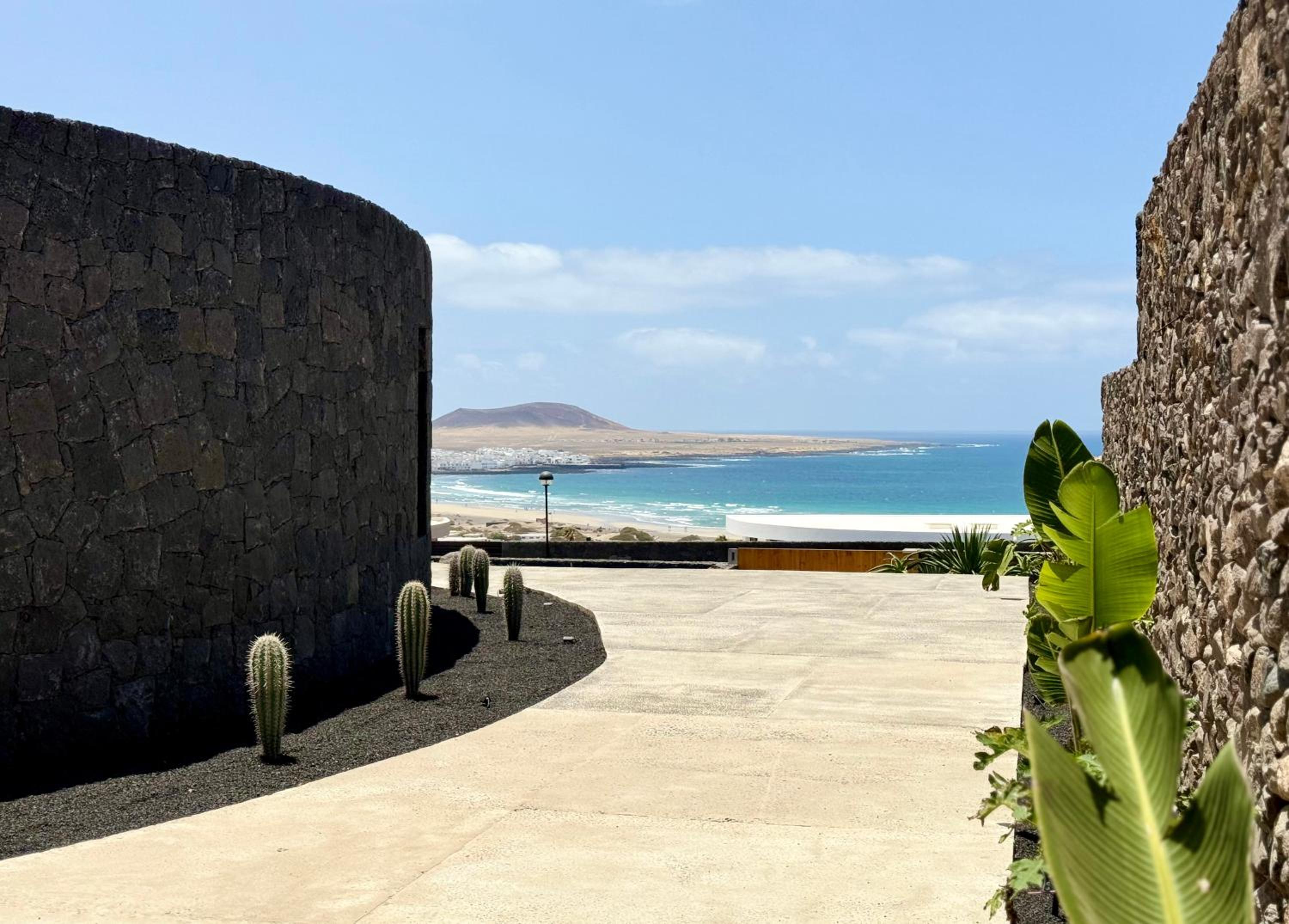 Canaryislandshost I Oliva