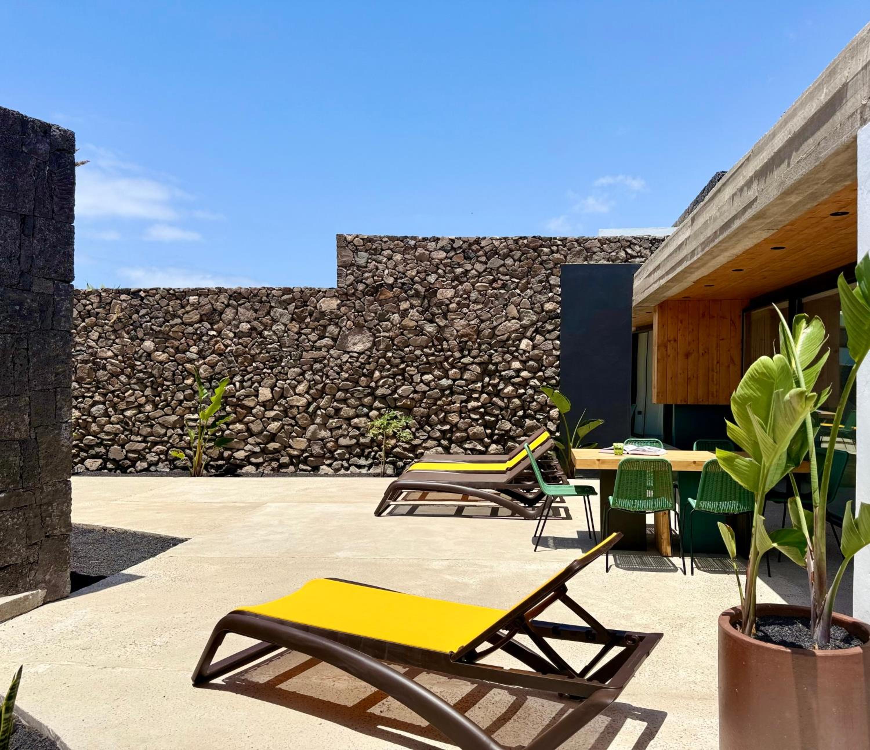 Canaryislandshost I Oliva